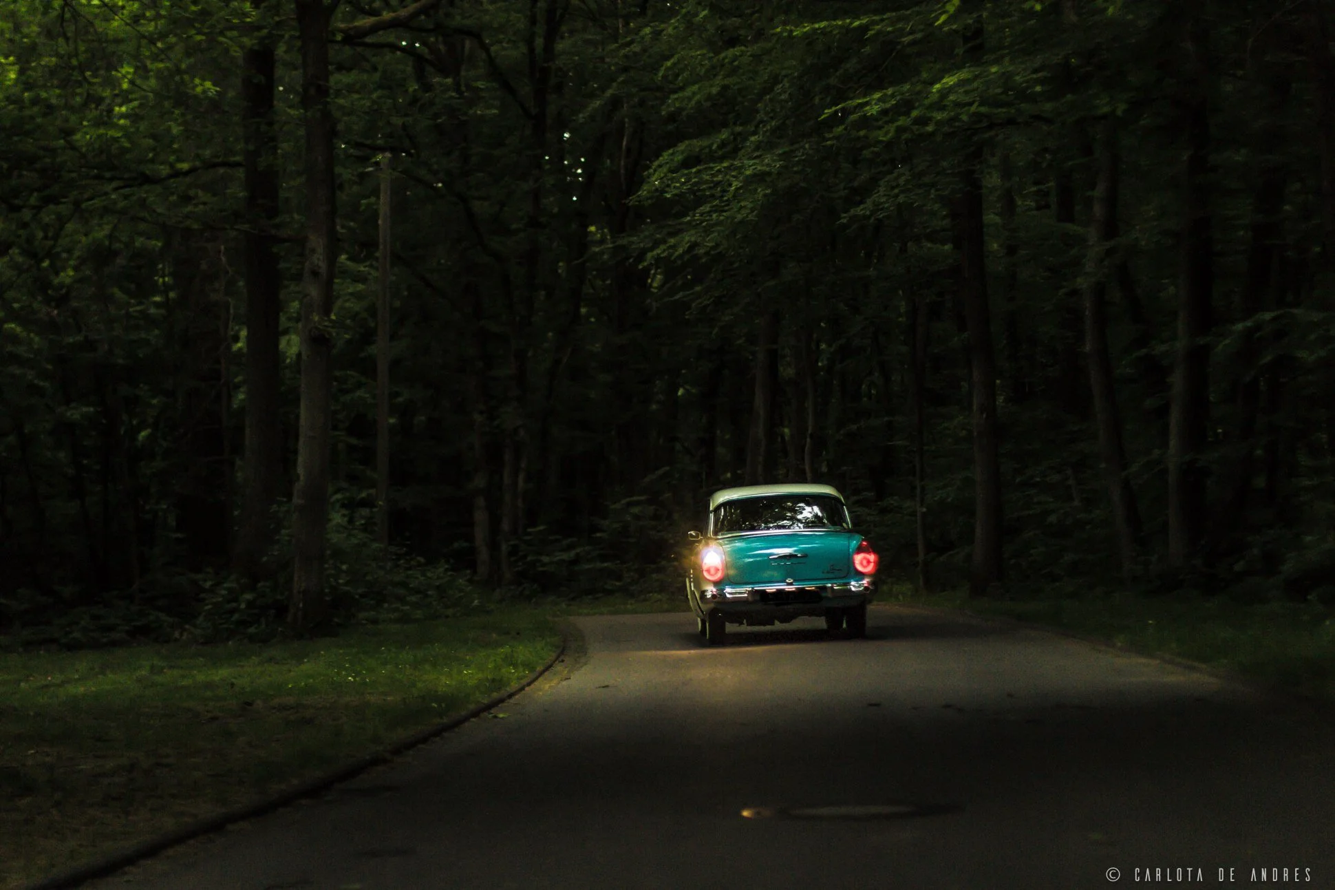 ford-taunus-17m-deluxe-charlieandres_0371-2.jpg