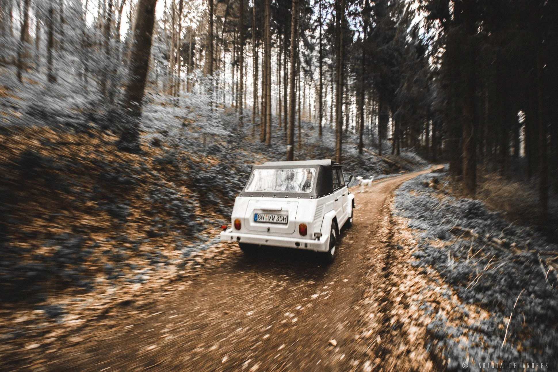 vw181-safari-the-thing-kubelwagen-classic-car-charlieandres-img_8774.jpg