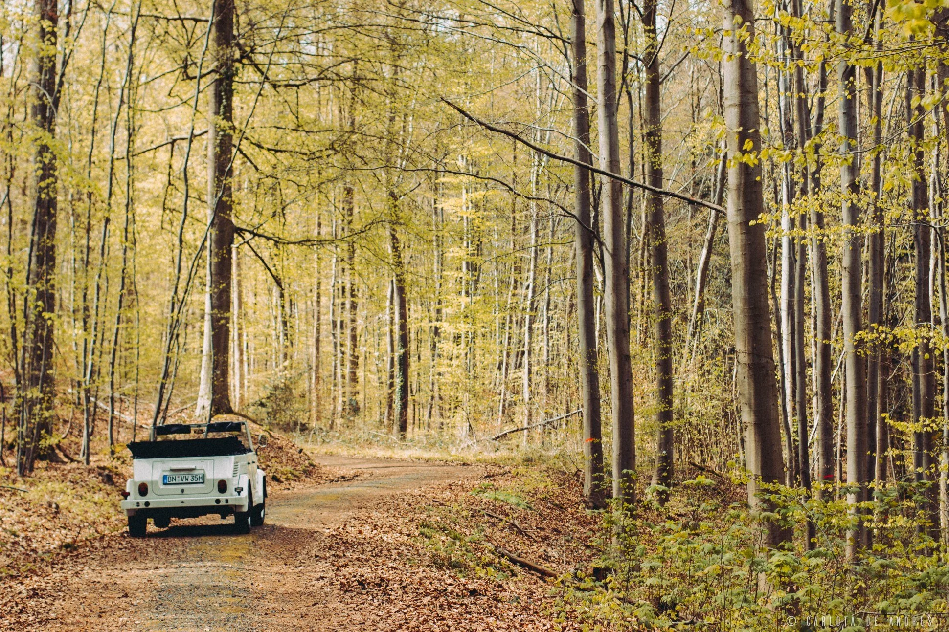 vw181-safari-the-thing-kubelwagen-classic-car-charlieandres-img_8834.jpg