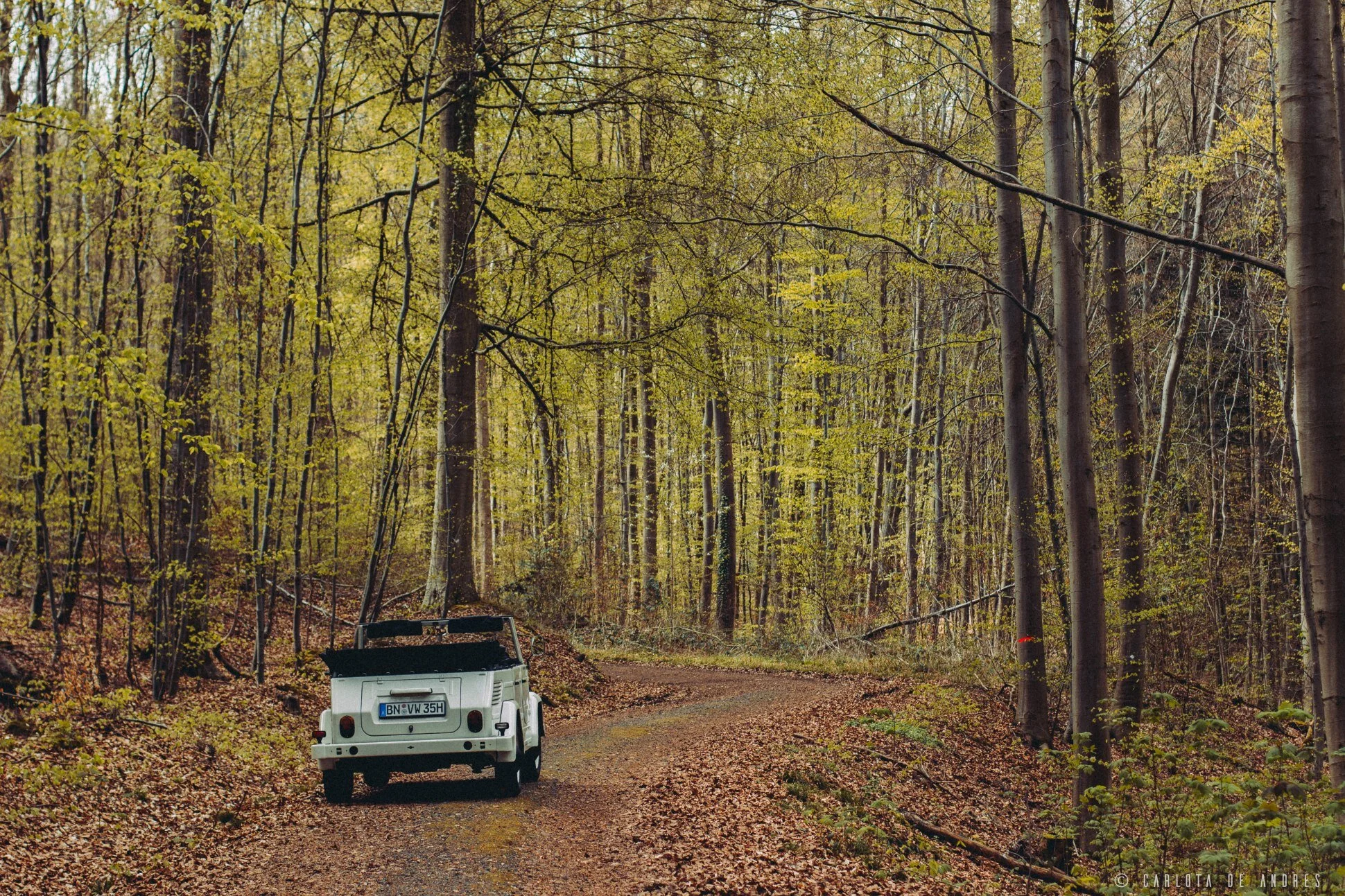 vw181-safari-the-thing-kubelwagen-classic-car-charlieandres-img_8832.jpg