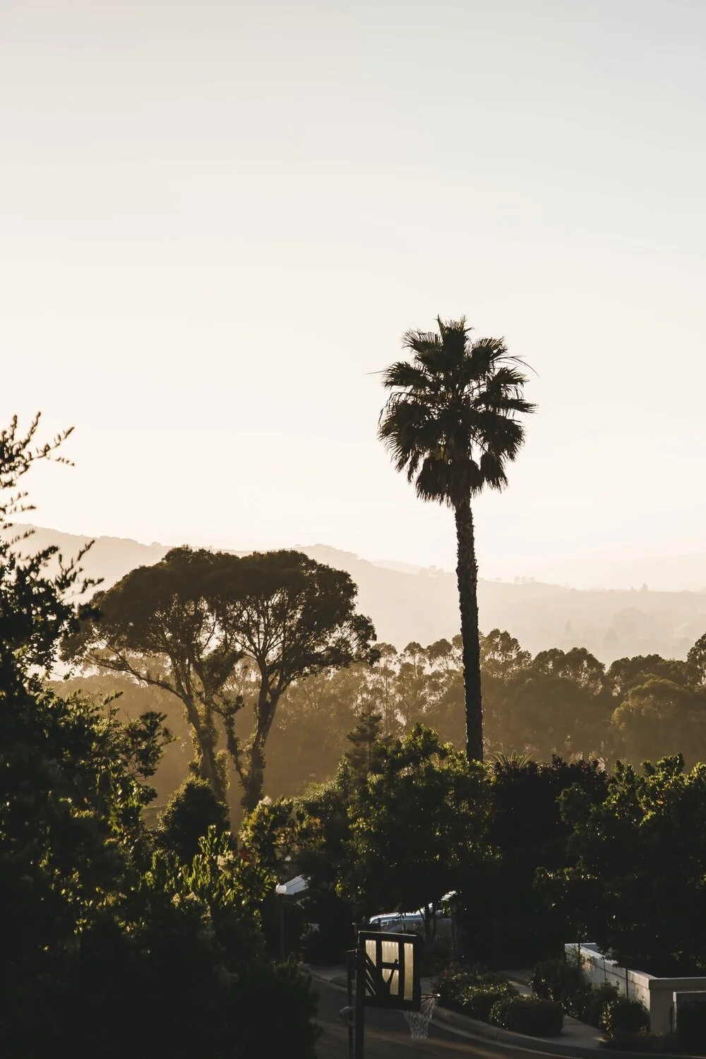 California_Charliendres_0974.jpg