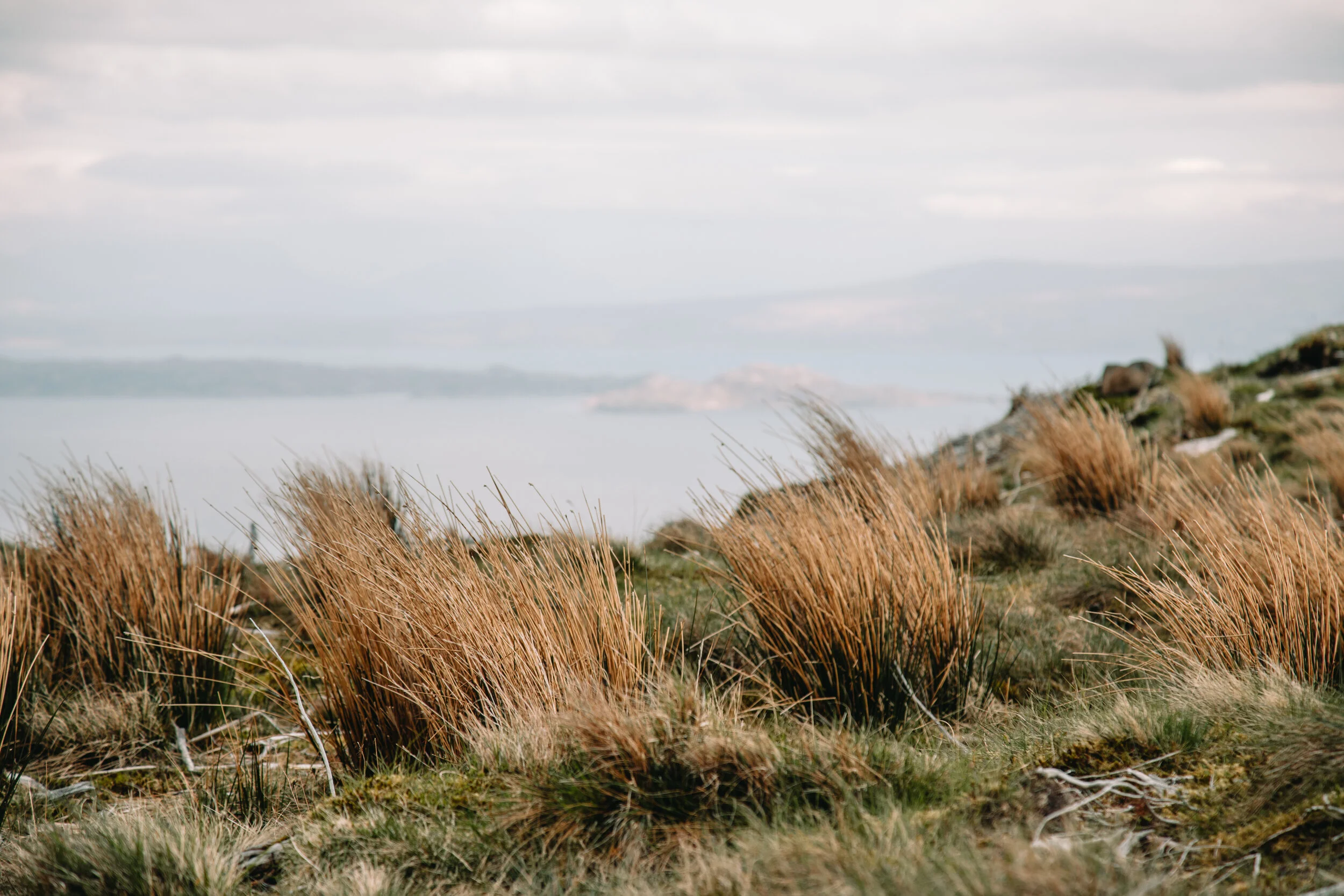 Scotland_Charlieandres_2036.jpg
