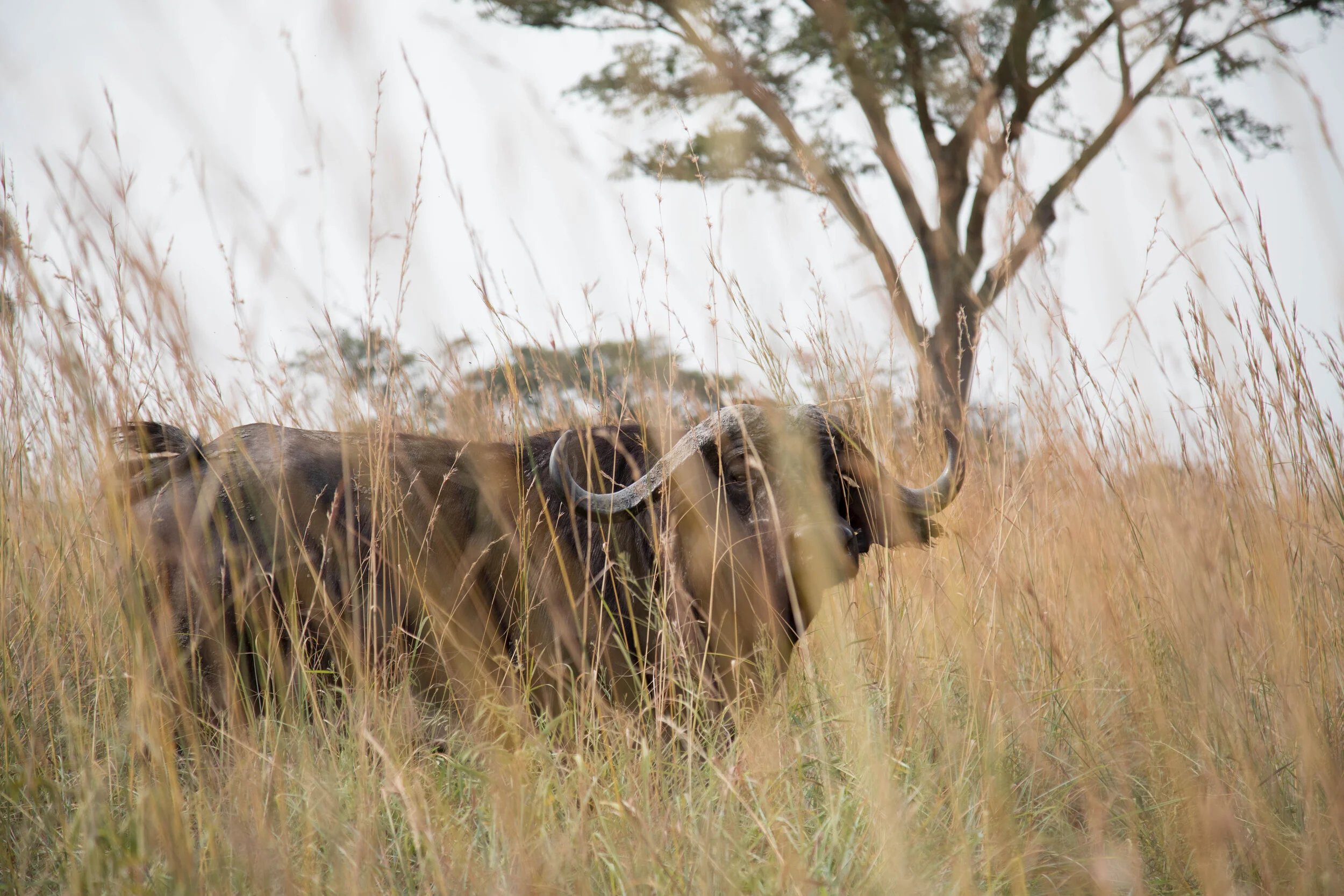 Uganda_Charlieandres_1333-1.jpg