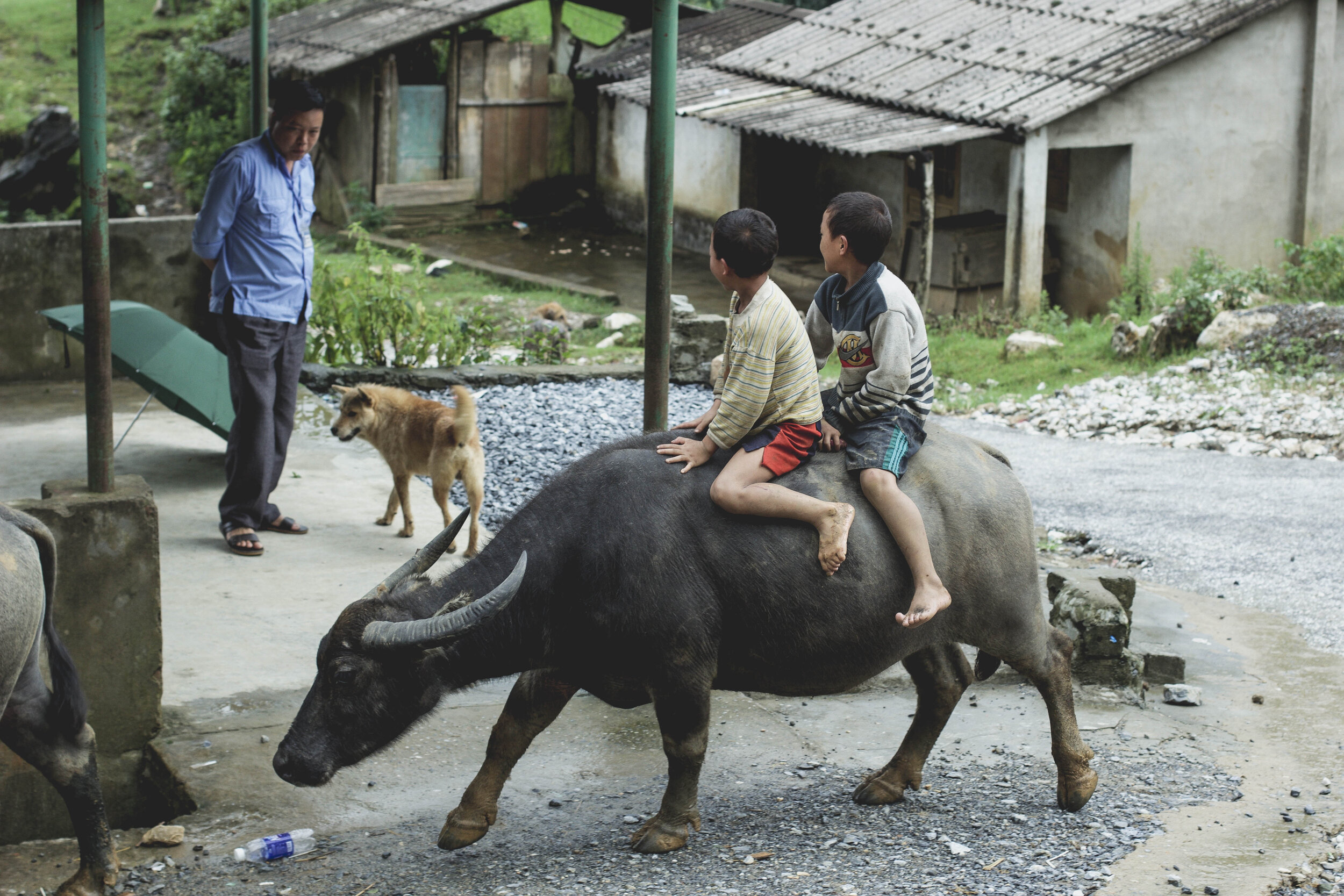 Vietnam-Carlotadeandres-2252.jpg