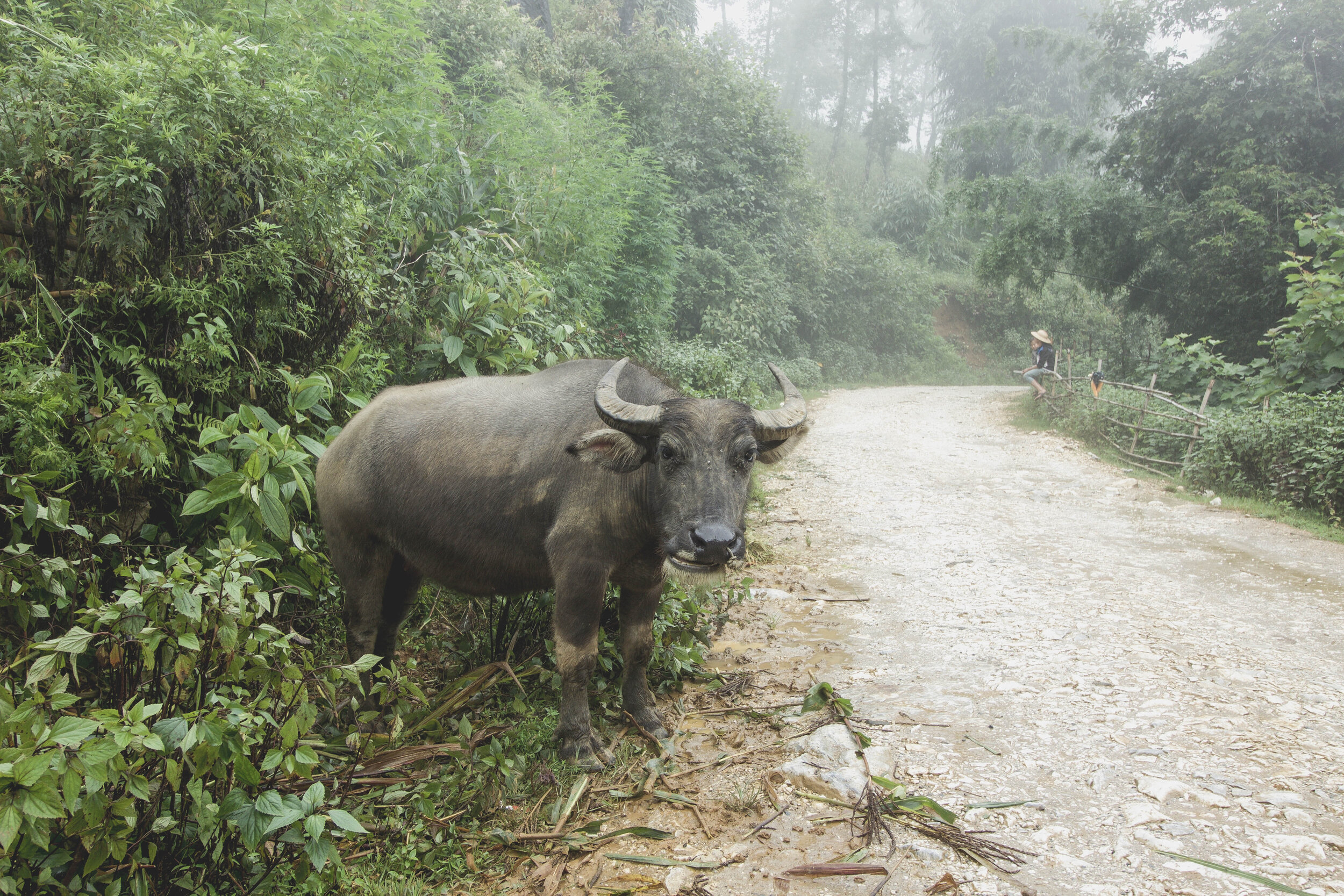Vietnam-Carlotadeandres-2370-1.jpg