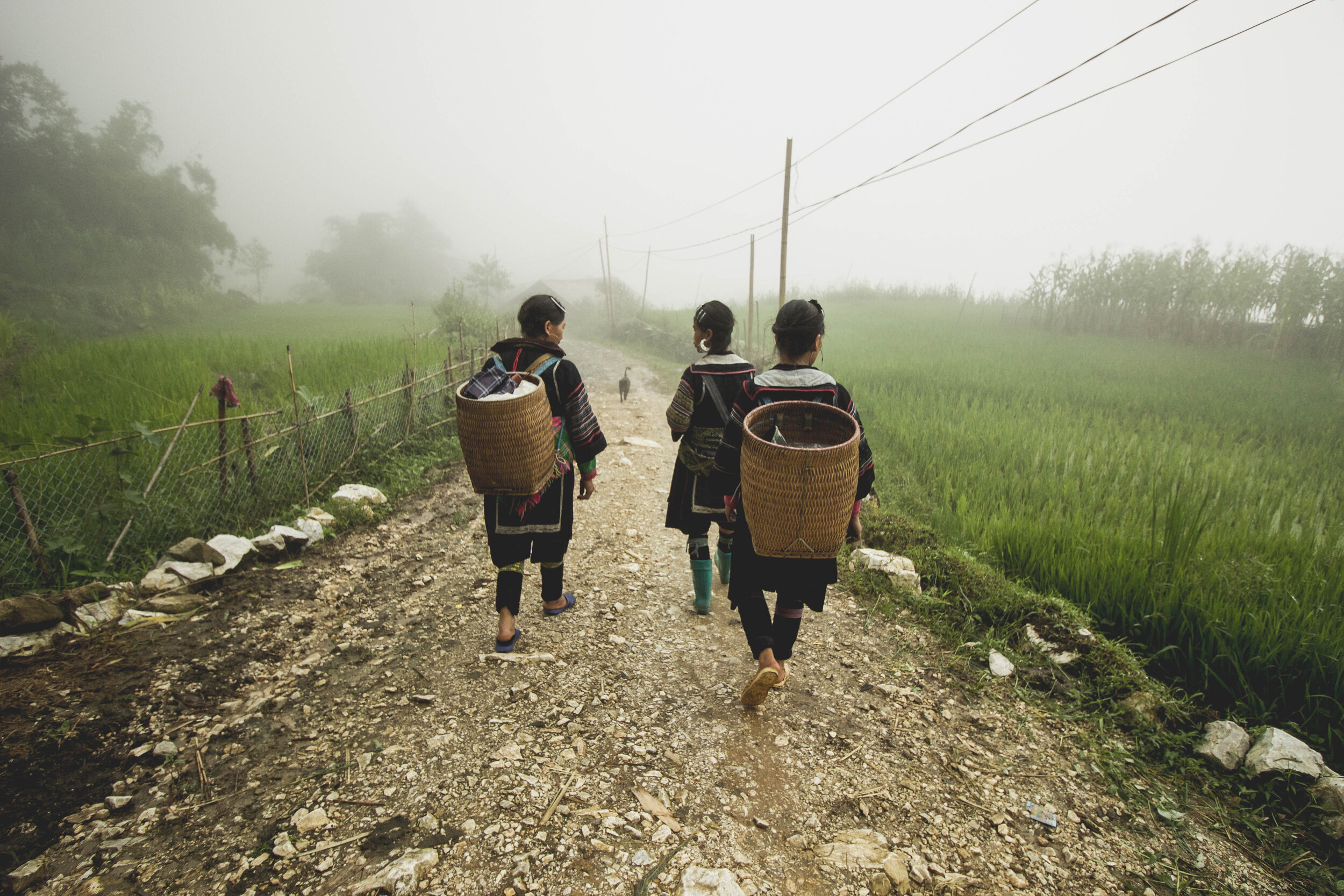 Vietnam-Carlotadeandres-2384-1.jpg