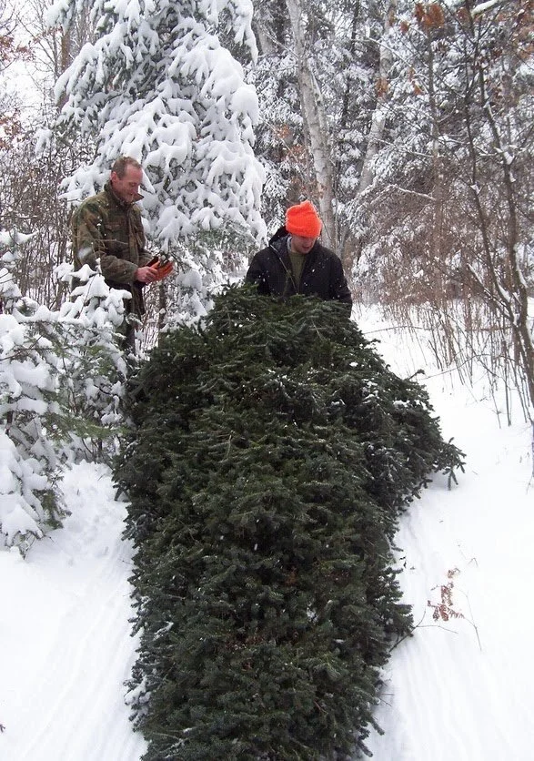 Woodland Stewardship Plans — Minnesota Forestry Association