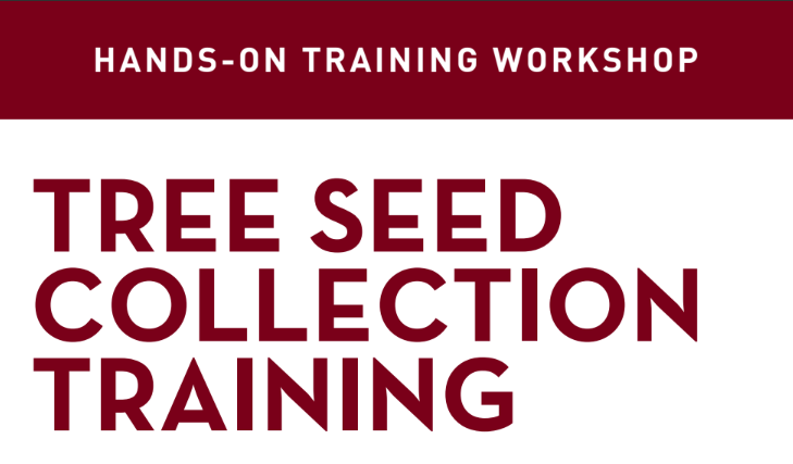 Tree Seed Collection Course