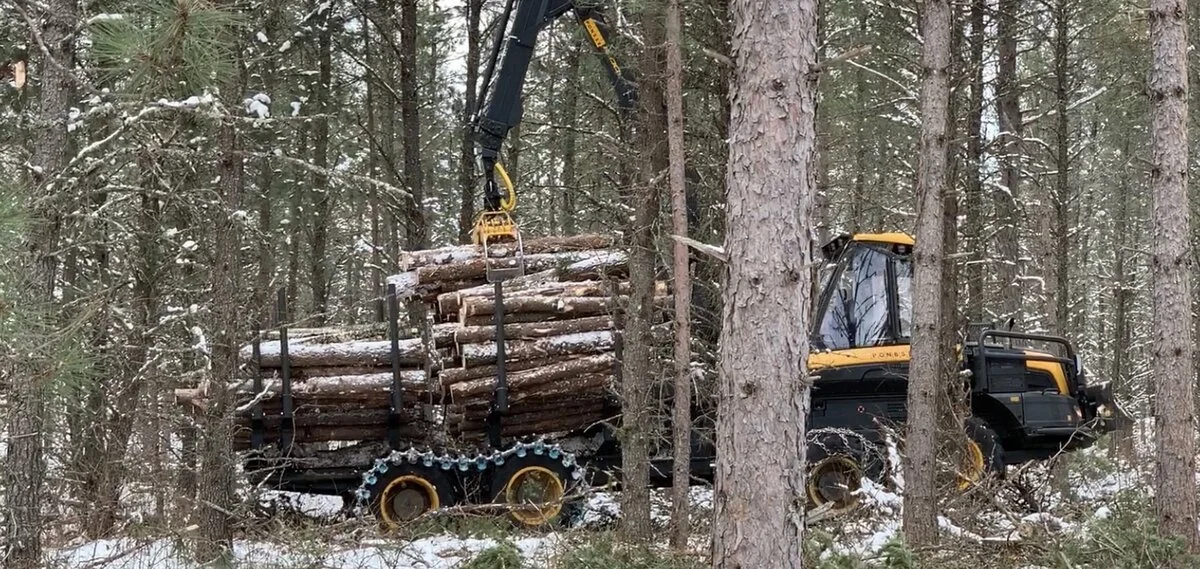 Symposium on Carbon and Minnesota Forest Management