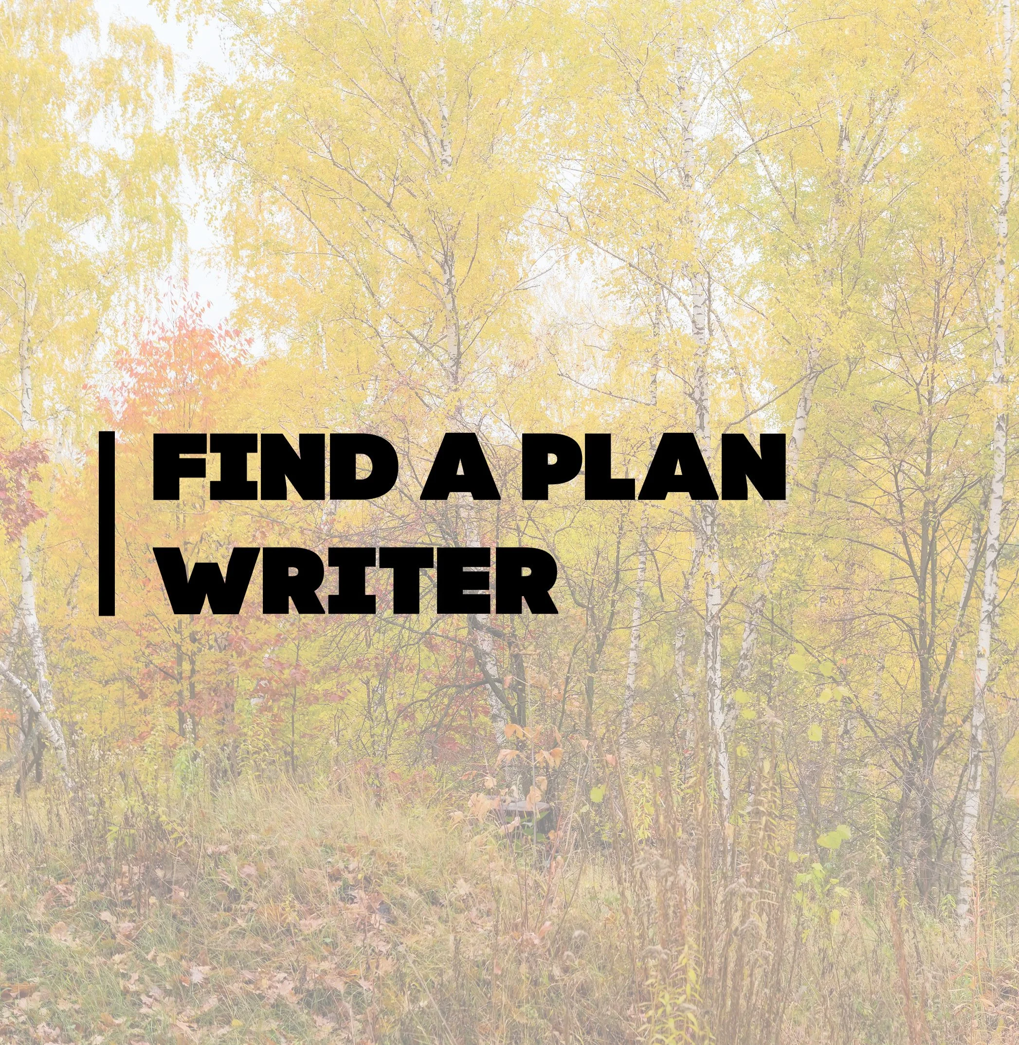 Woodland Stewardship — Minnesota Forestry Association