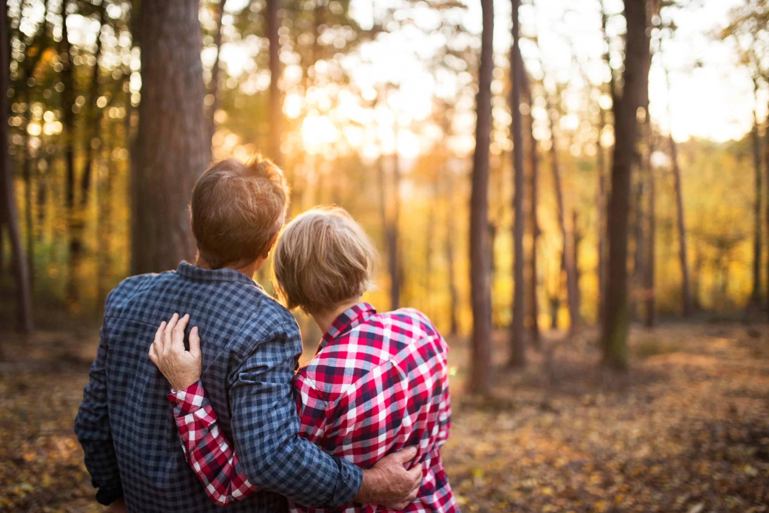 Forest Incentives Sustainable Forest Incentive Act — Minnesota Forestry Association