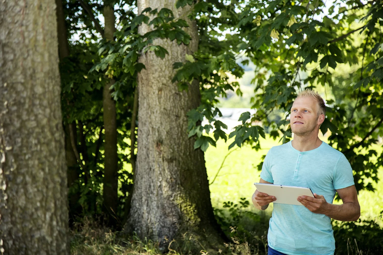 Sustainable Forest Incentive Act — Minnesota Forestry Association