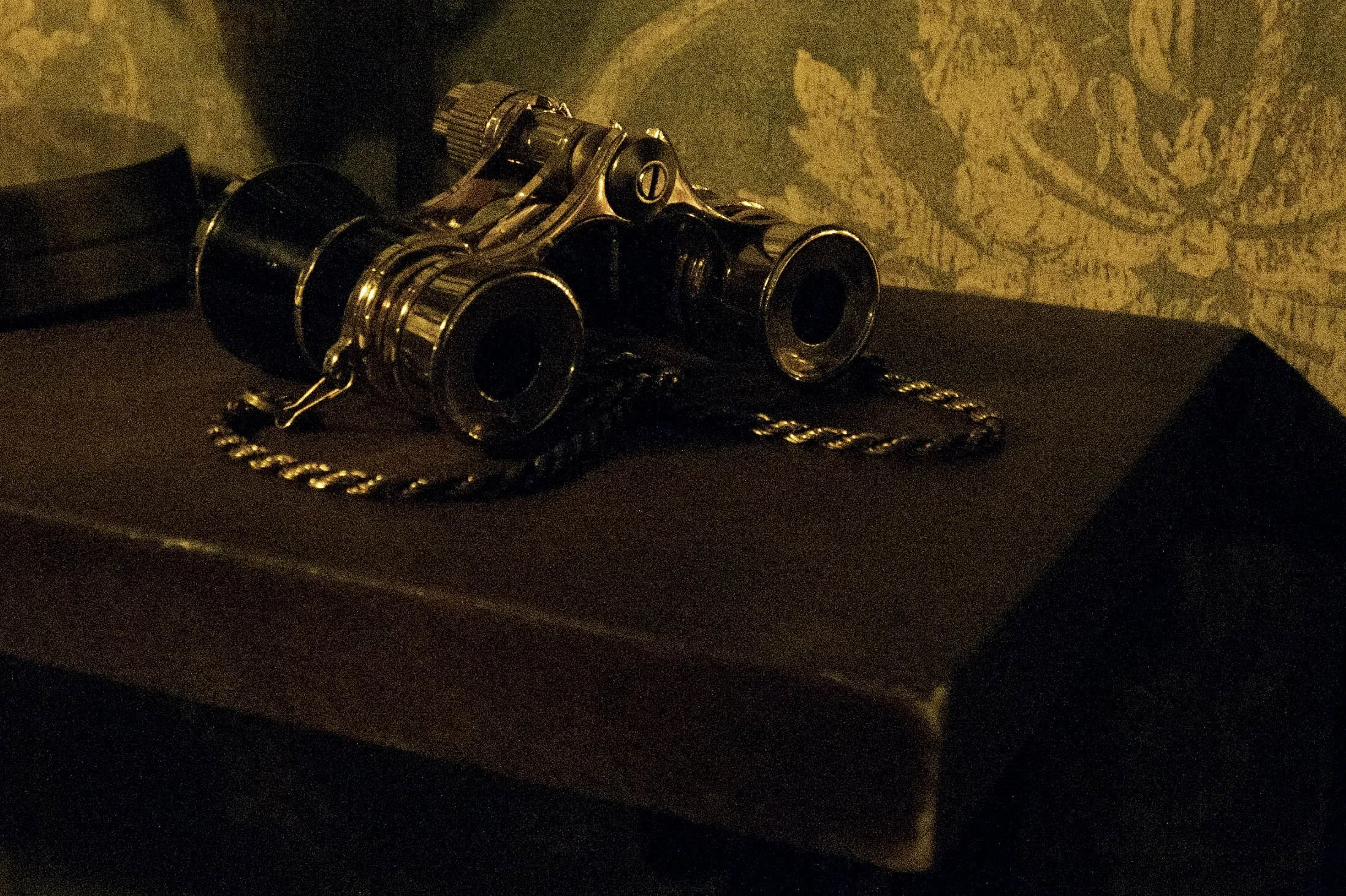 Prop Binoculars (2022)