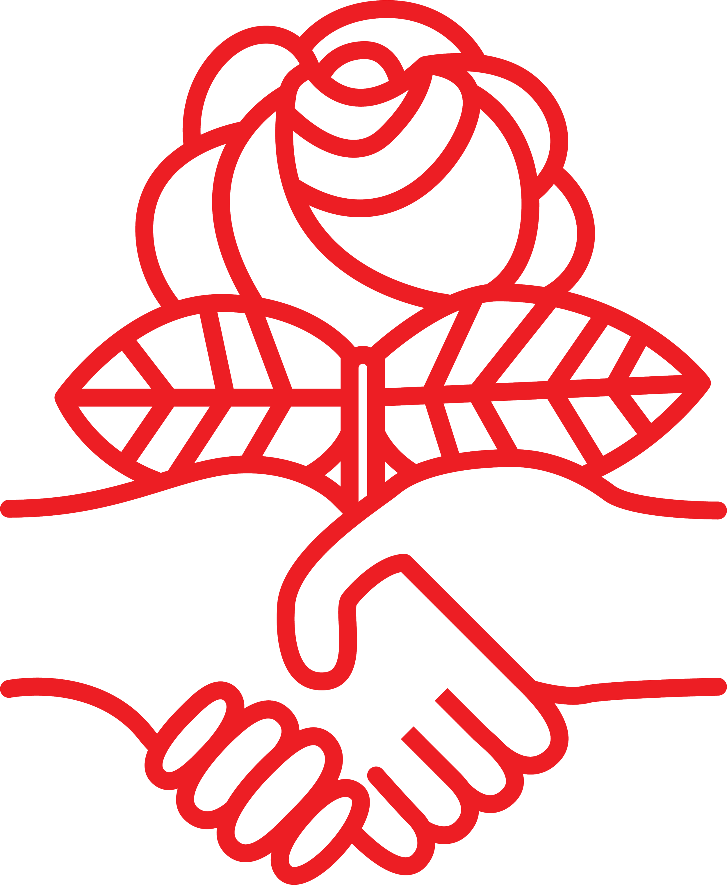 Mono_Logo_DSAred.png.png
