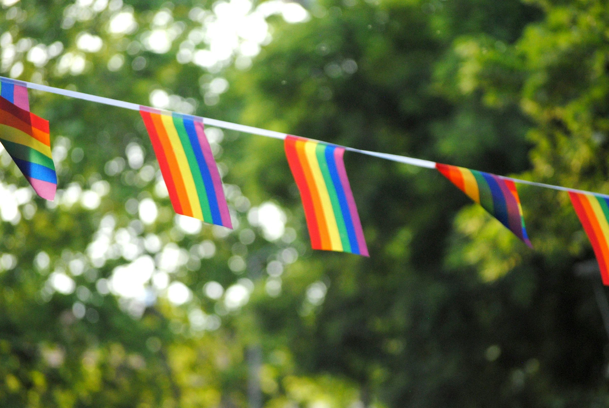 Rainbow pride flags hanging on a string outdoors against a background of trees and sunlight.