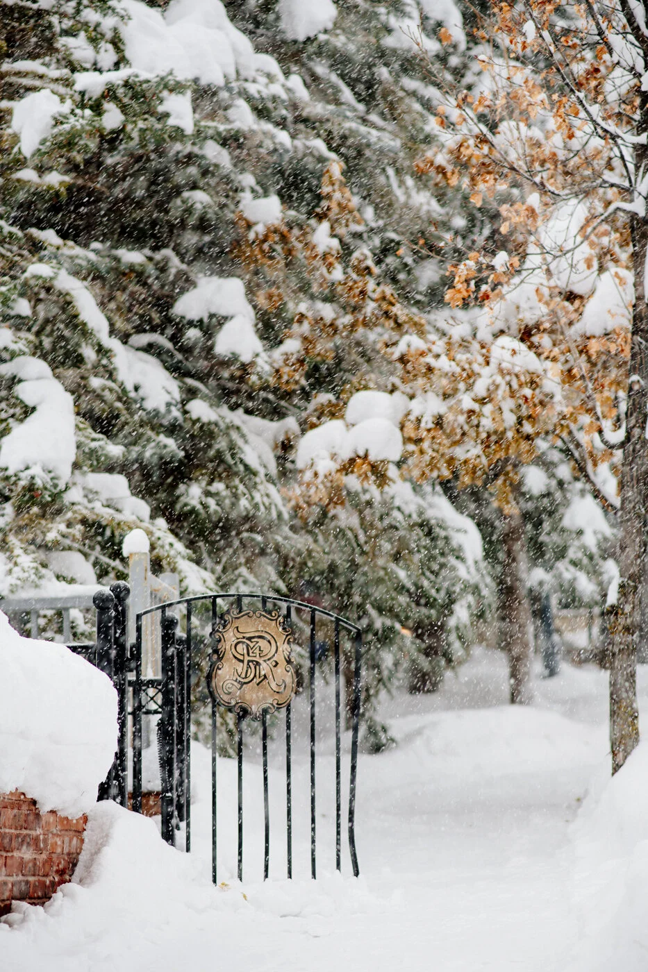 Carly-Campbell-St-Regis-Aspen-9252.jpg