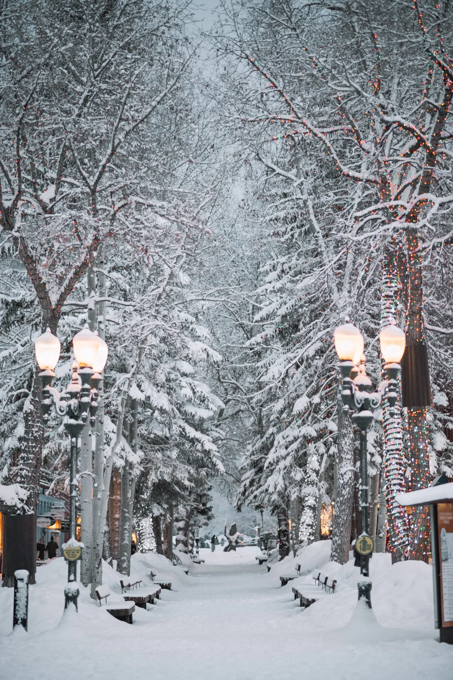Carly-Campbell-Photography-Aspen-3784.jpg