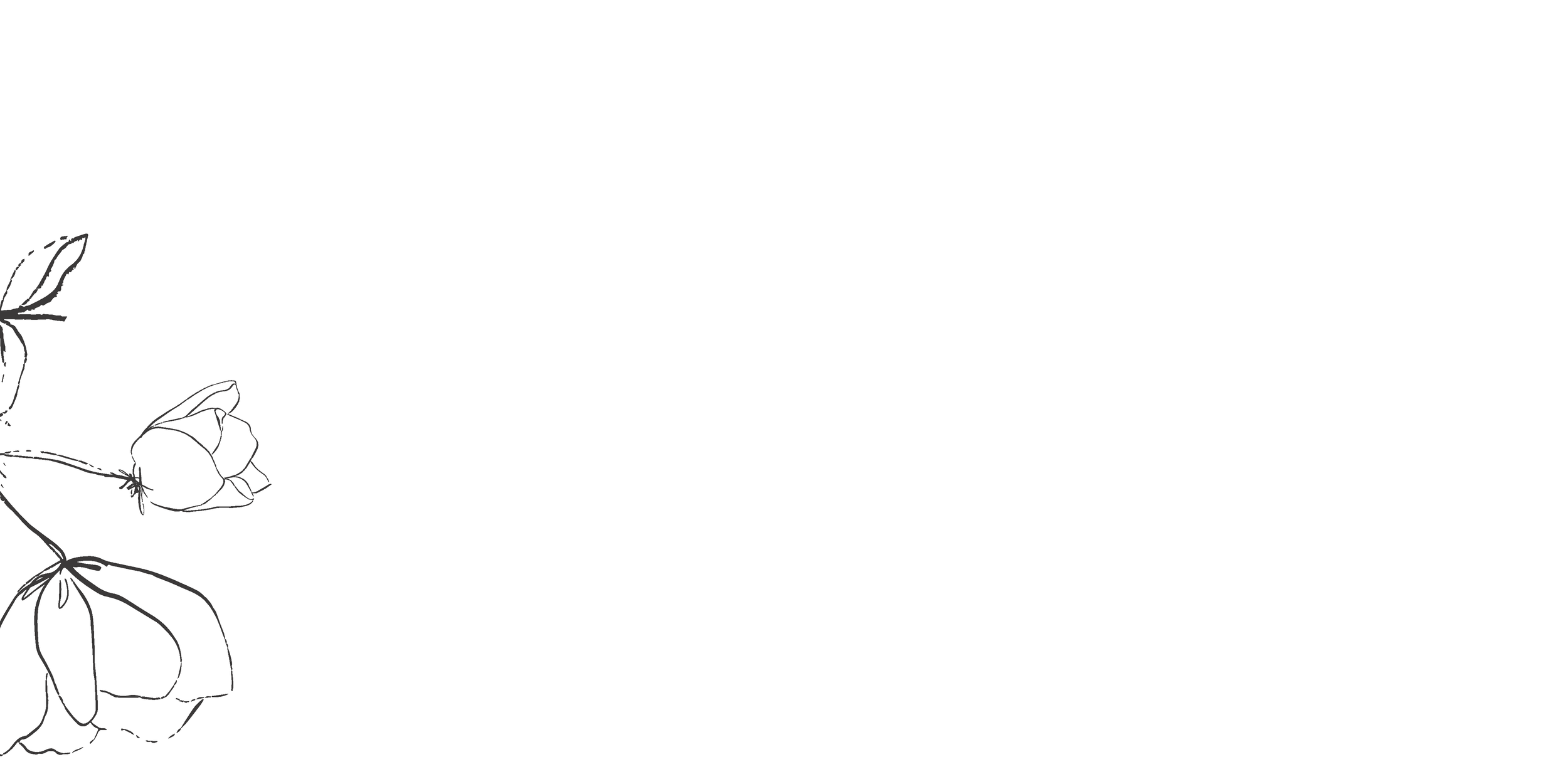 KindWords2.png
