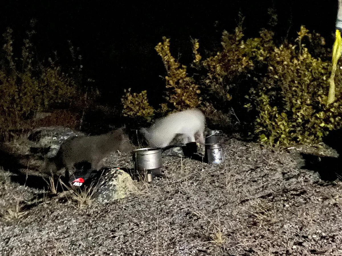 GRL-NAN2025-09-18 at 11.44.26 (2).jpeg