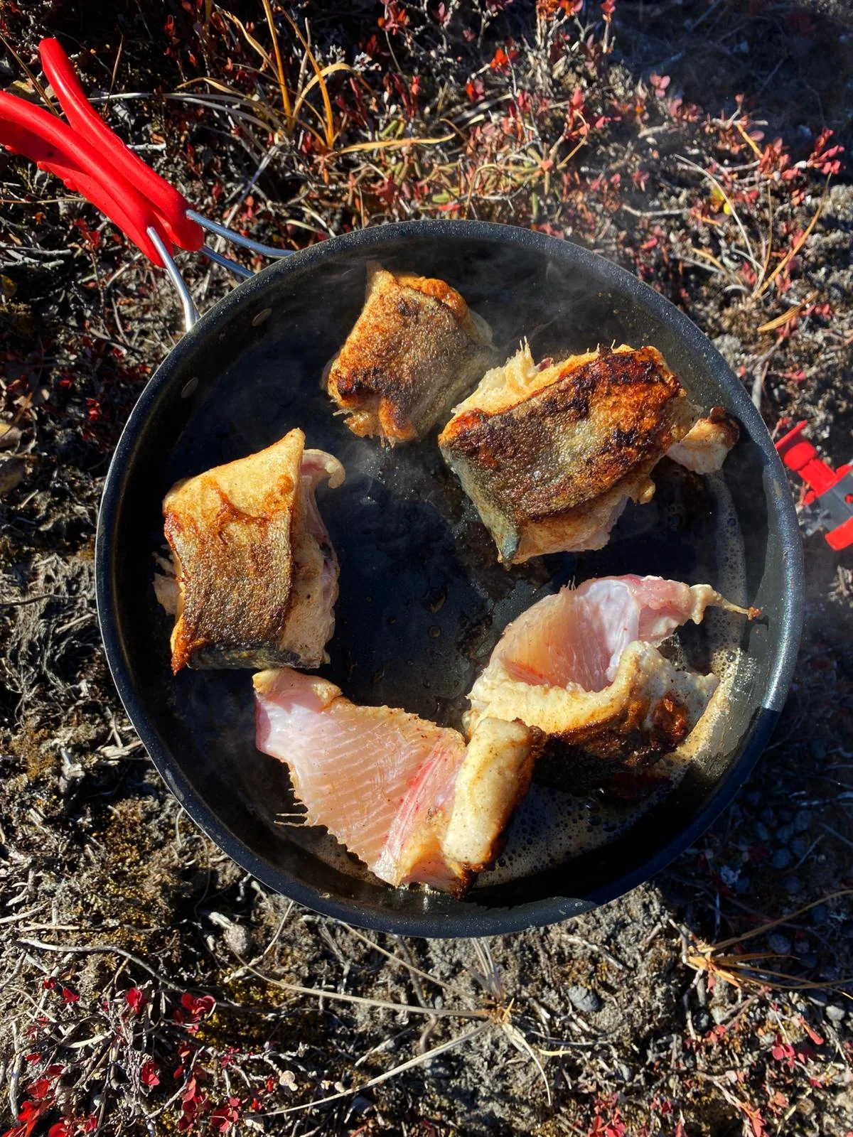 GRL-NAN2025-09-18 at 11.44.27.jpeg