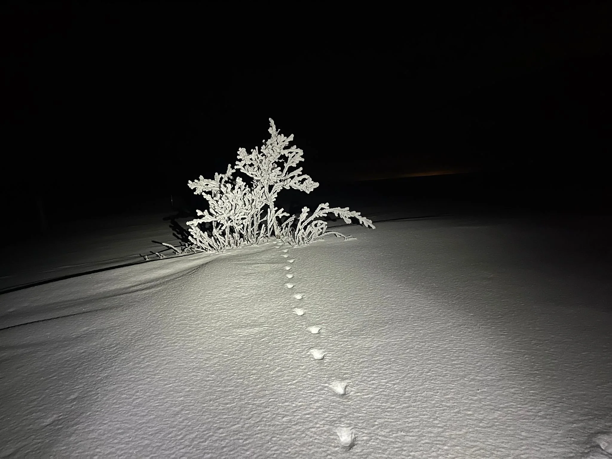 FNM26-6 2026-02-15 at 15.20.15 (1).jpeg