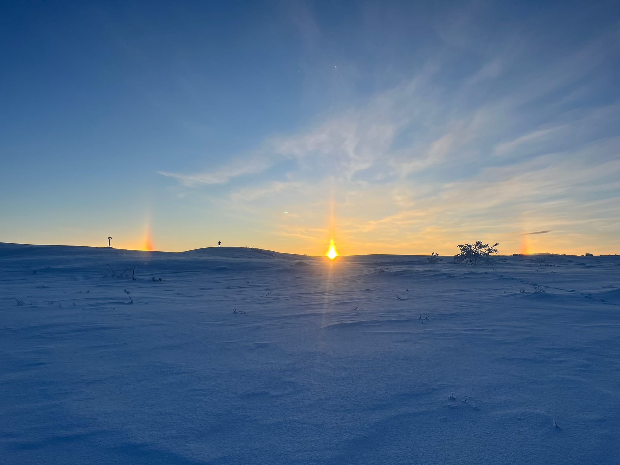 FNM26-6 2026-02-15 at 15.20.14.jpeg