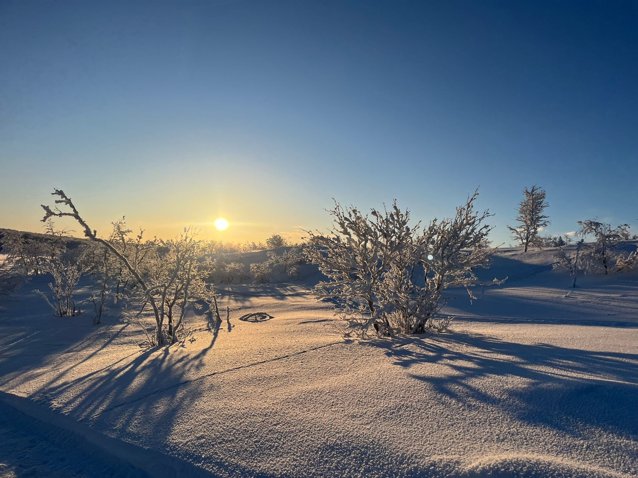 FNM26-6 2026-02-15 at 15.20.13.jpeg