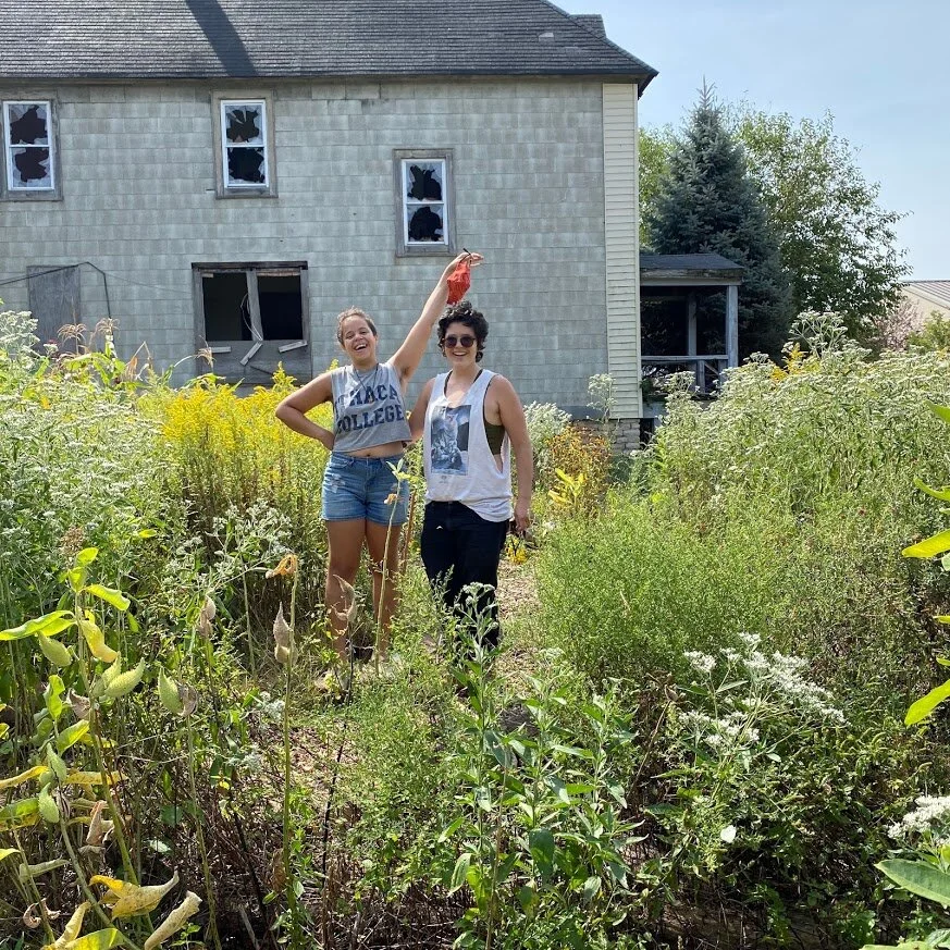 Preserved Lemons (Copy) (Copy) (Copy) (Copy)