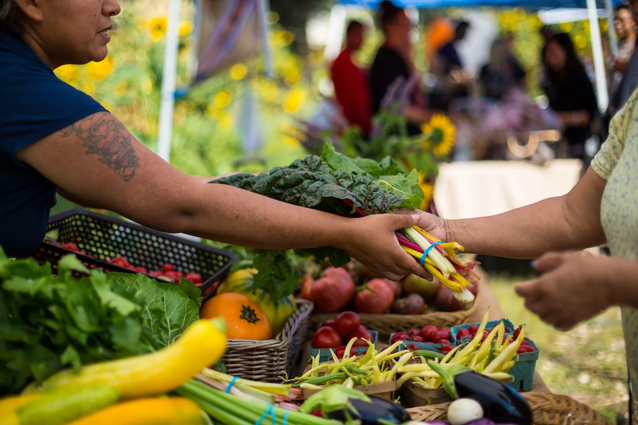 Plant Chicago Farmers Market