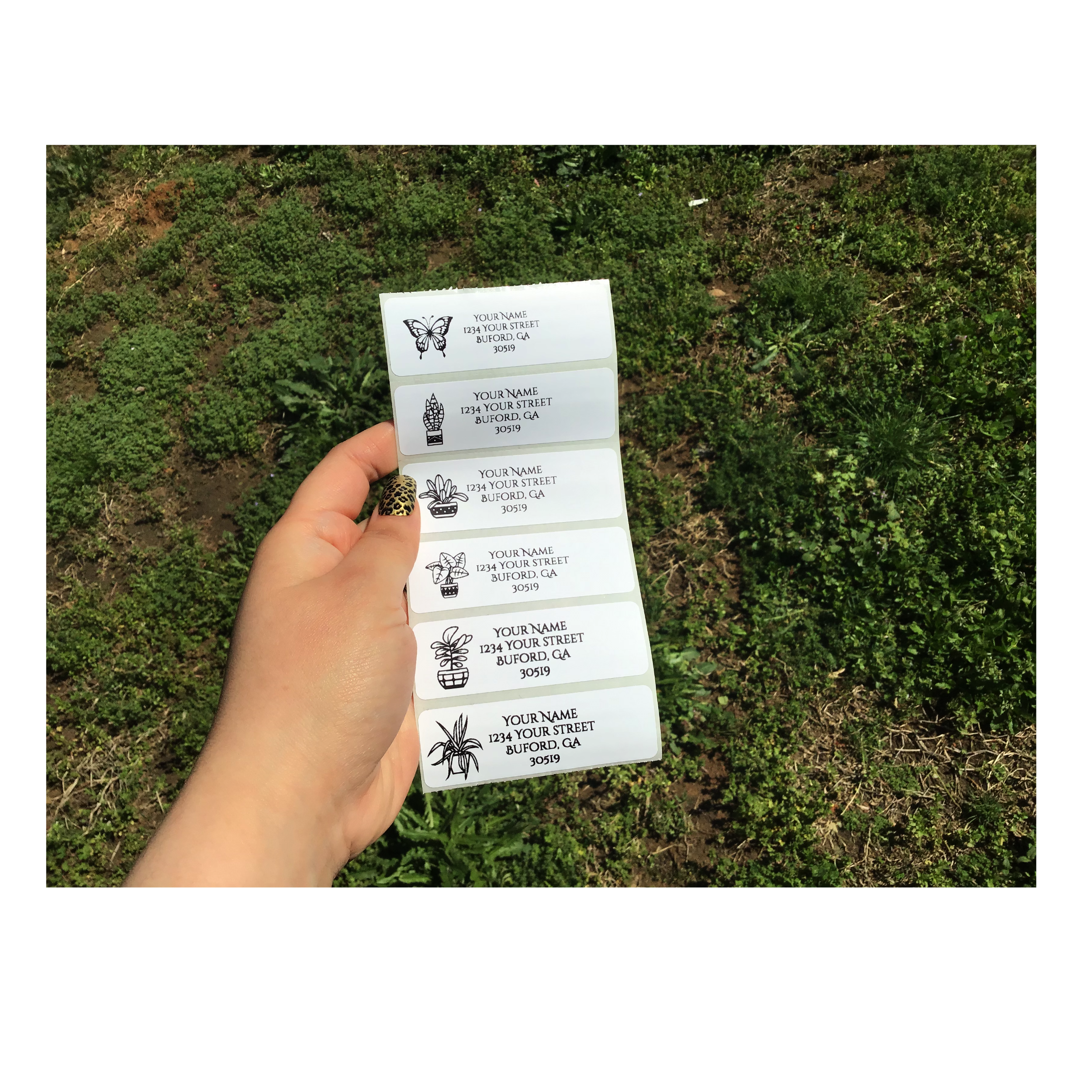 Address Labels .png
