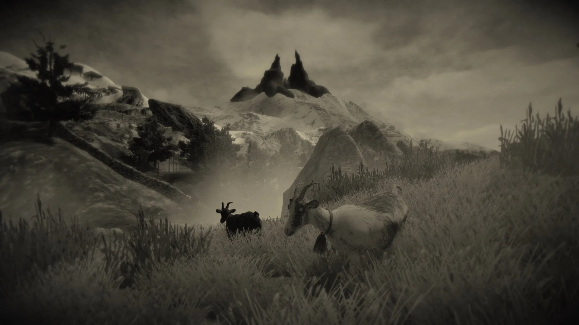 20200212_MUN_16_47_45 copy.jpg