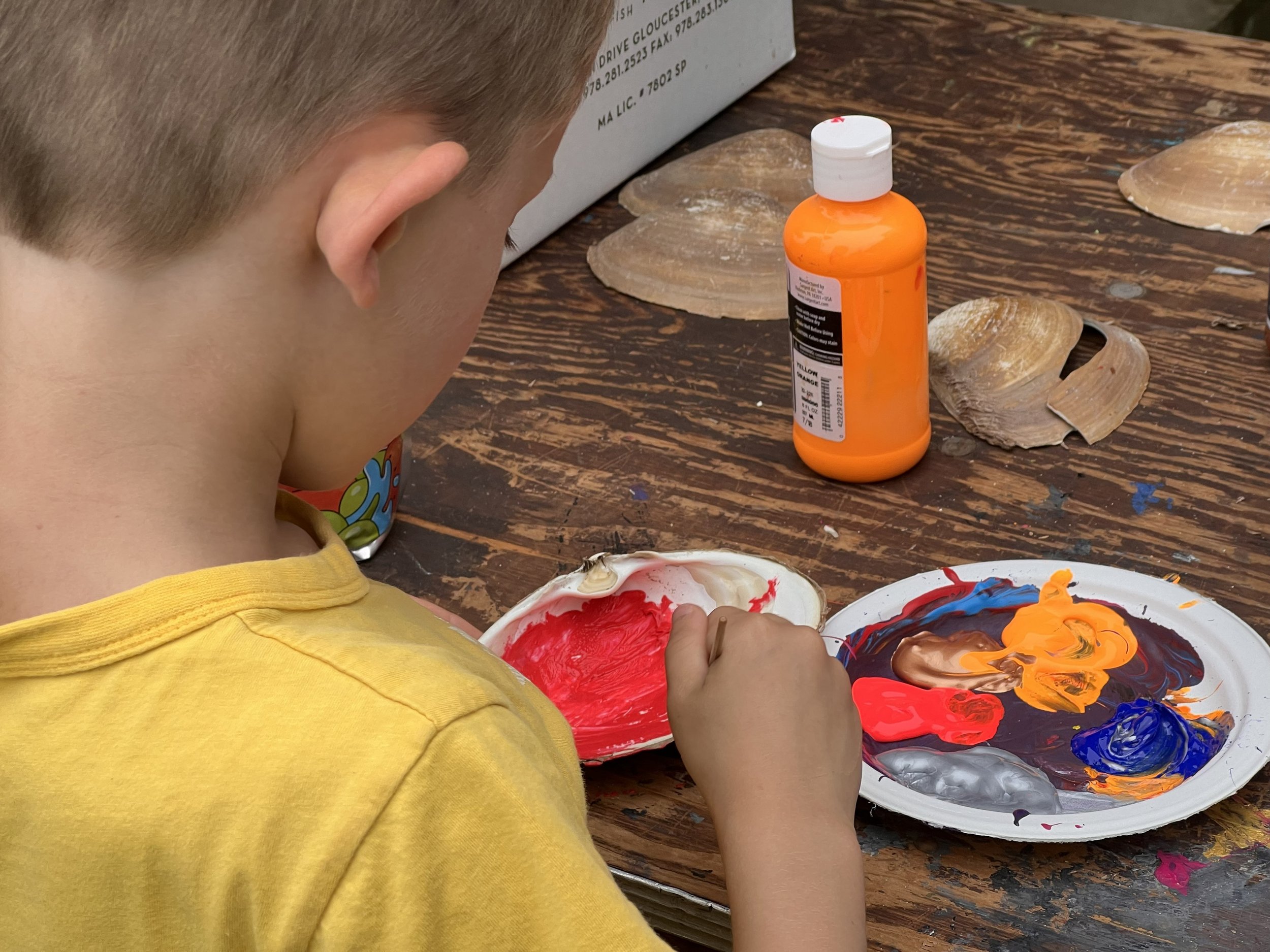 CLAM PAINTING ERCD.jpeg