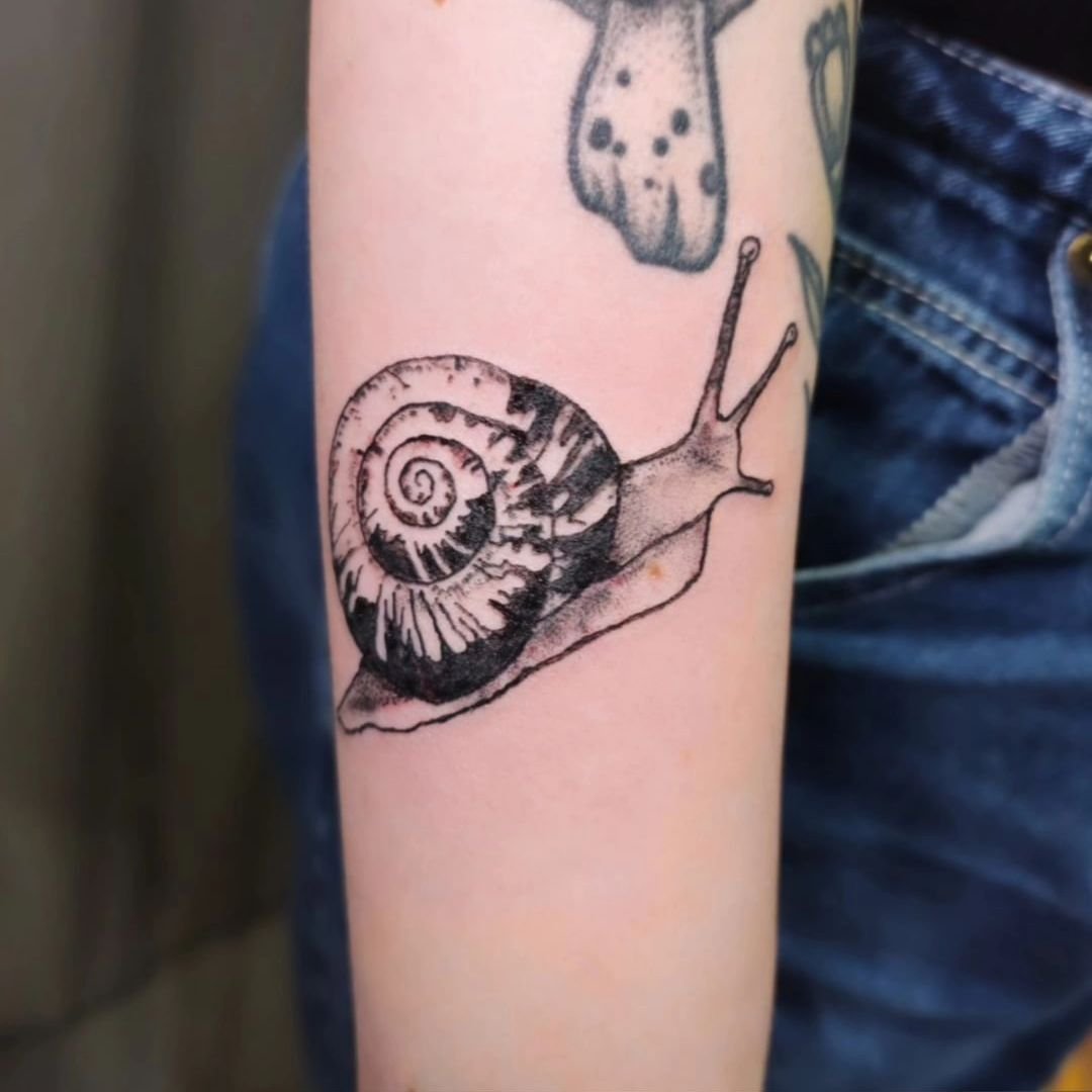 Illustrative snail by Kari.
Check out more of her work and contact directly for booking/pricing. 
@starlingtattoos 
@starlingtattoos 
🌟💗🤖
#robotbabes #robotpiercingtattoo #robotarmy #portlandtattoo #professionaltattoo #tattoo #snailtattoo #illustr