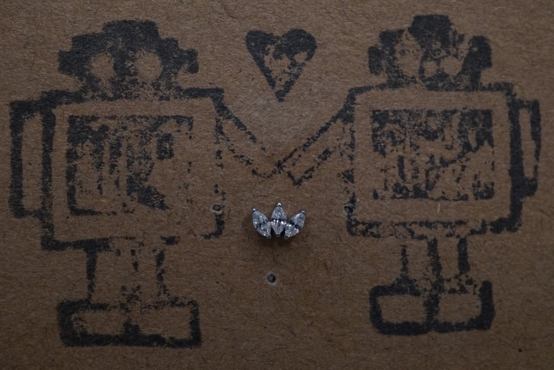 We&rsquo;ve added more to our implant grade Titanium threadless options! Varying sizes in Marquis style tops and fans, along with heart and coffin shaped Cubic Zirconias. Along with more decorative shapes in matte black Niobium are up for grabs in st