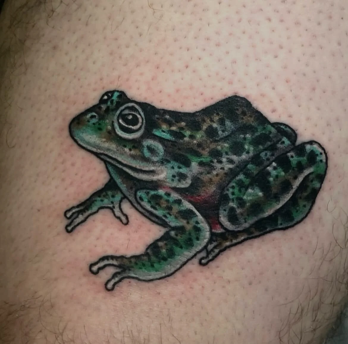 Lil frog buddy done recently by Gene 💚🐸💚 
He&rsquo;s generally in the shop Wednesday- Sunday! 
Feel free to reach out to him to know more about his availability or when he&rsquo;s takin walk ins (˵&macr;͒〰&macr;͒˵) 

&bull; @hannantraditional 
&bu