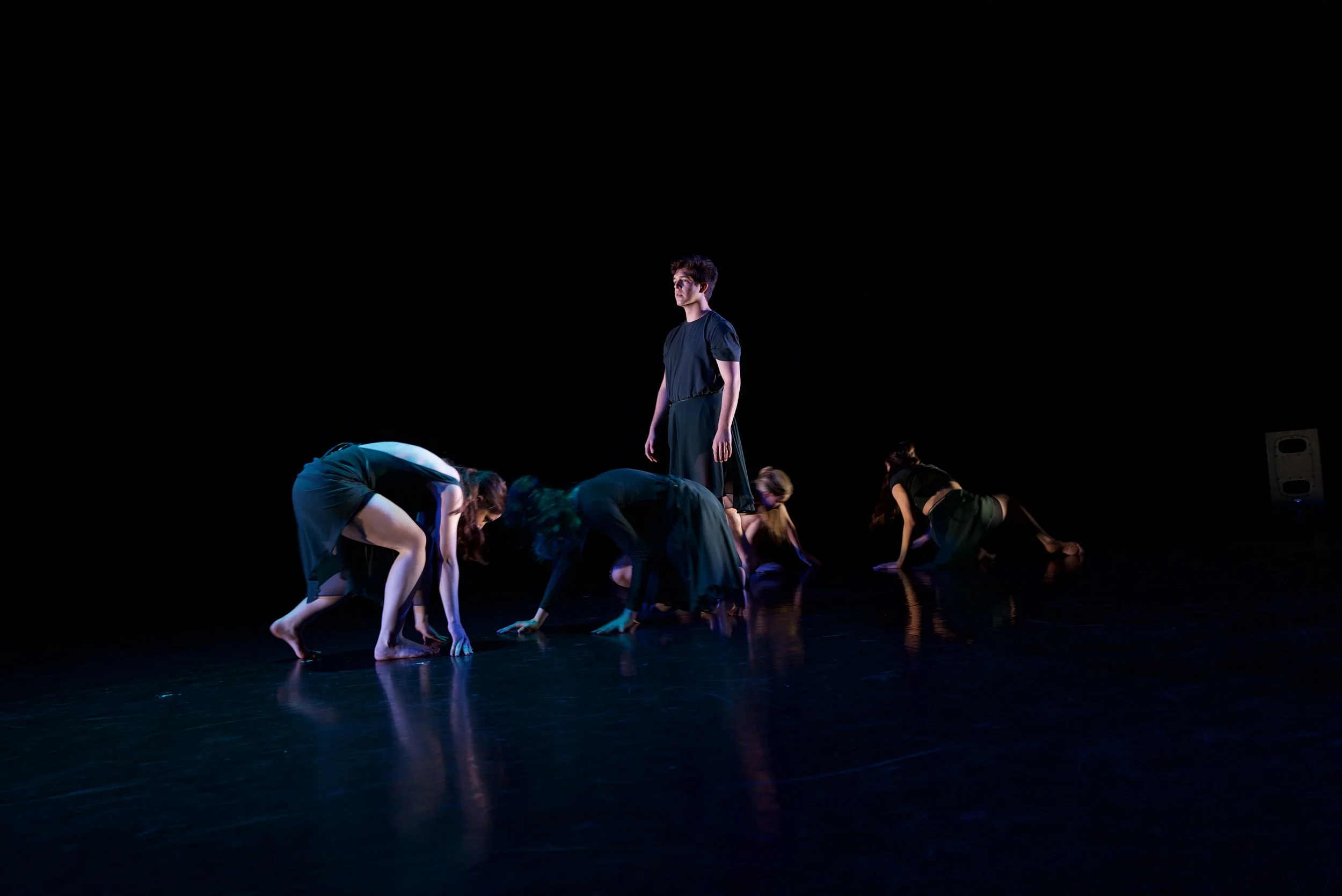 Dance Innovations at York University