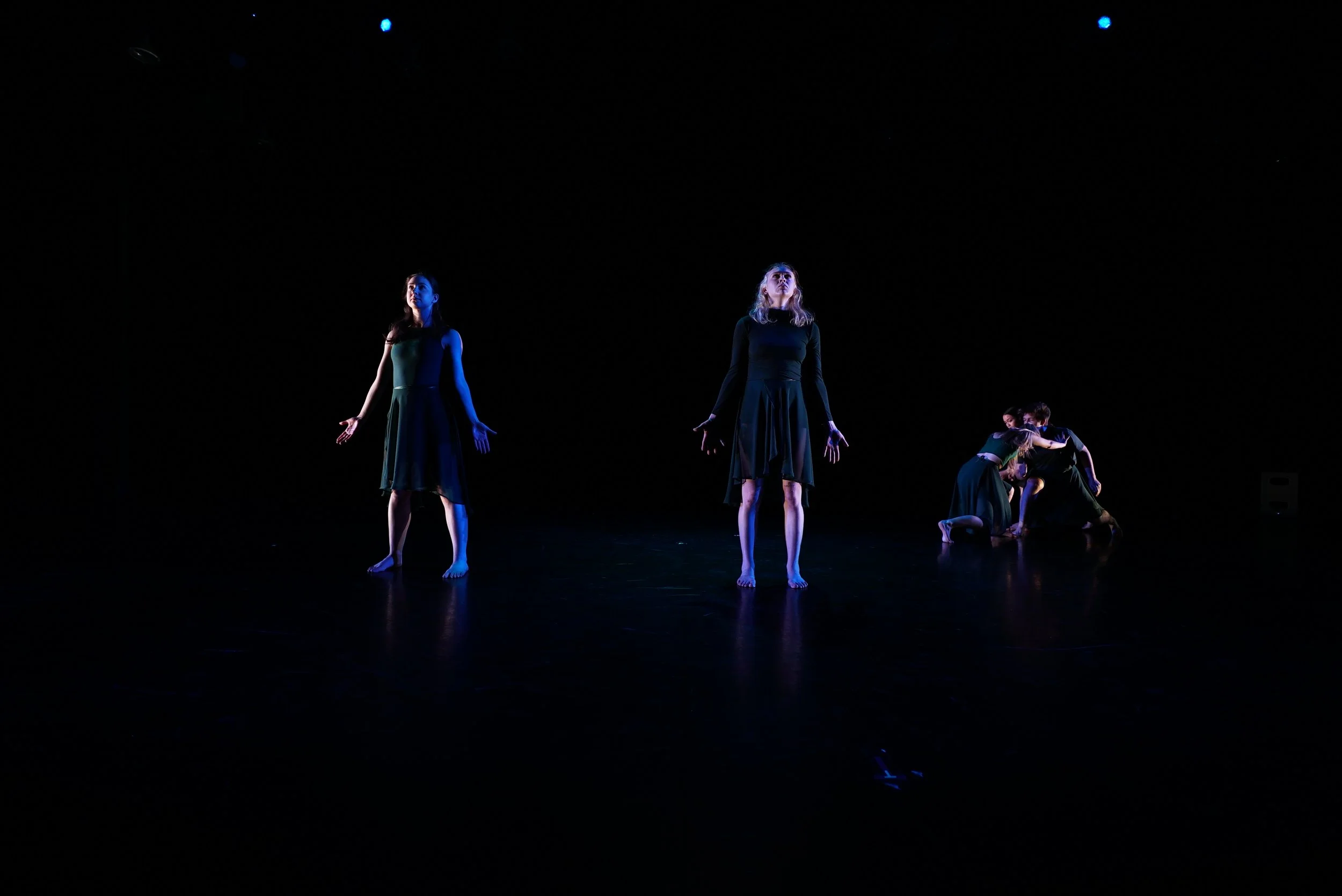 Dance Innovations at York University