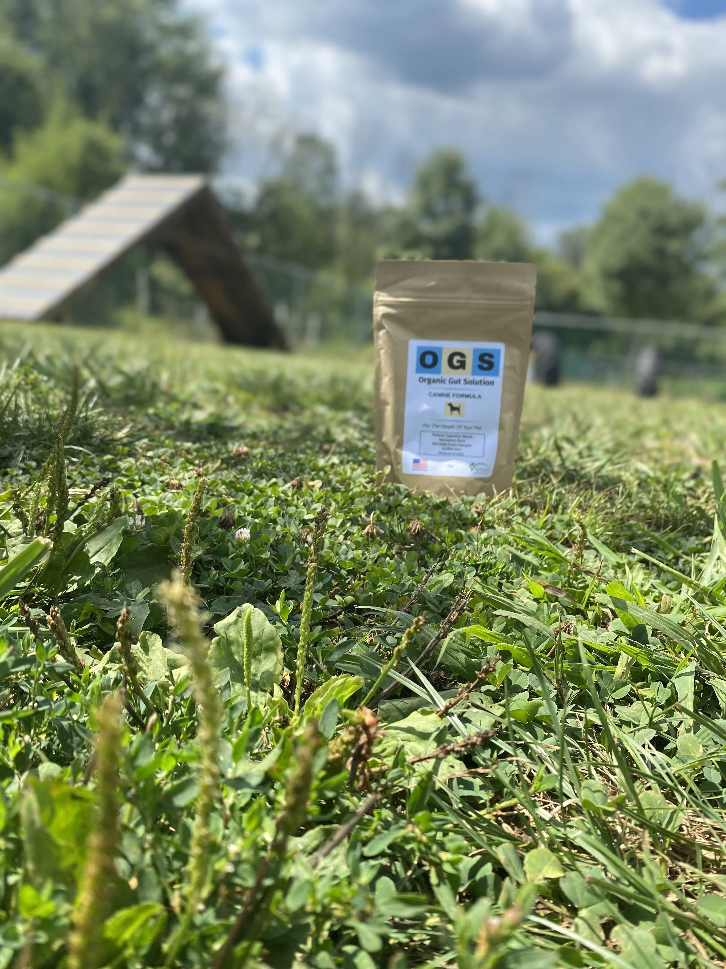 5 Ways To Keep Your Dog Happy &amp; Healthy