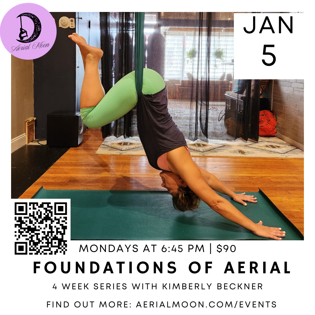 Foundations of Aerial Series (4 weeks)