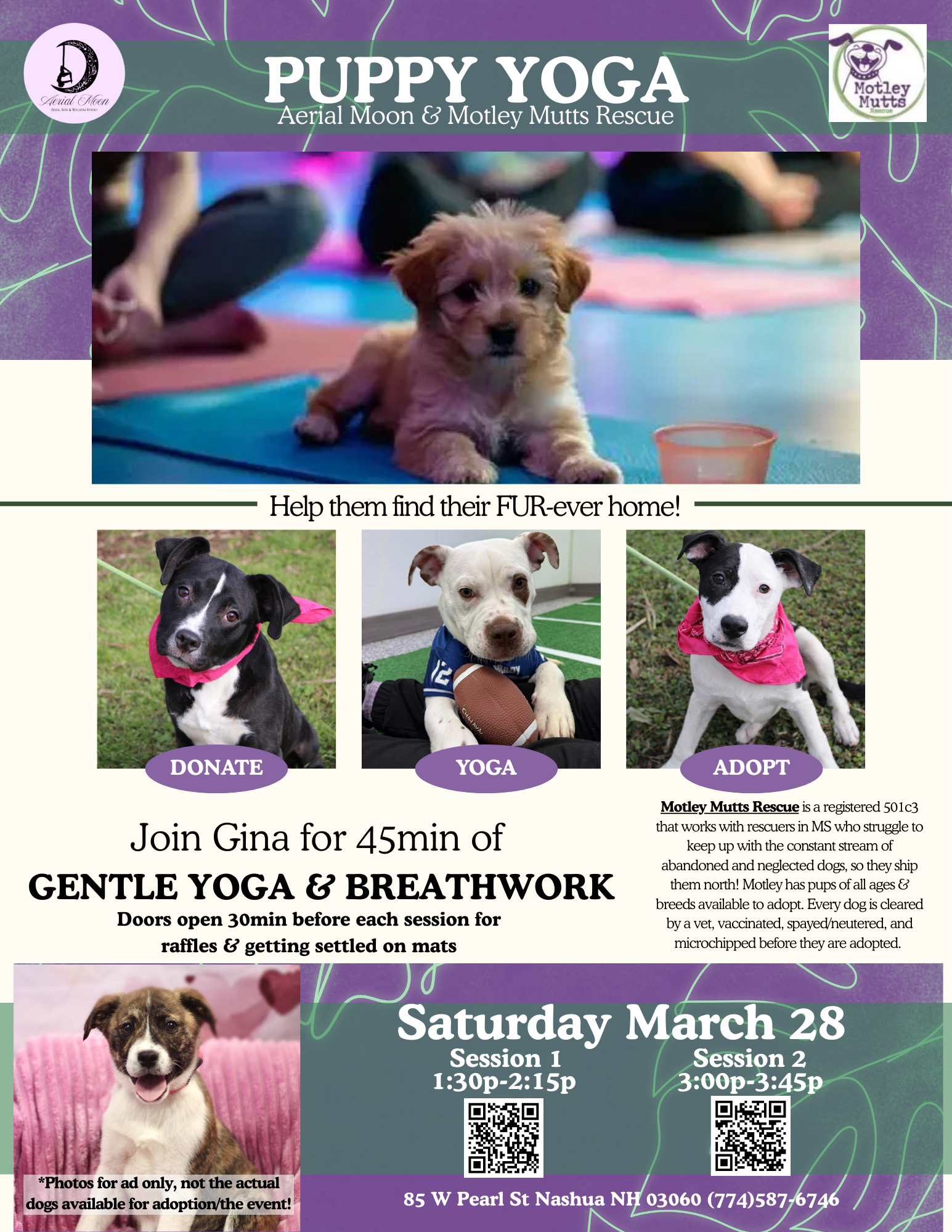 Puppy Yoga &amp; Fundraiser/Adoption Event
