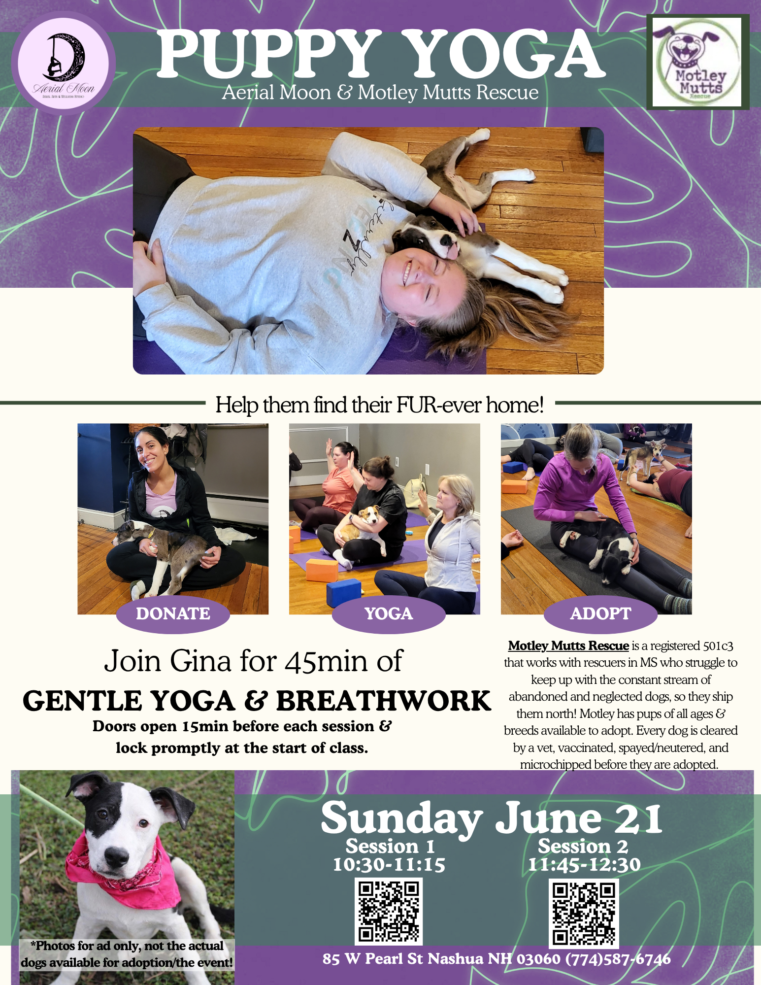 Father’s Day Puppy Yoga