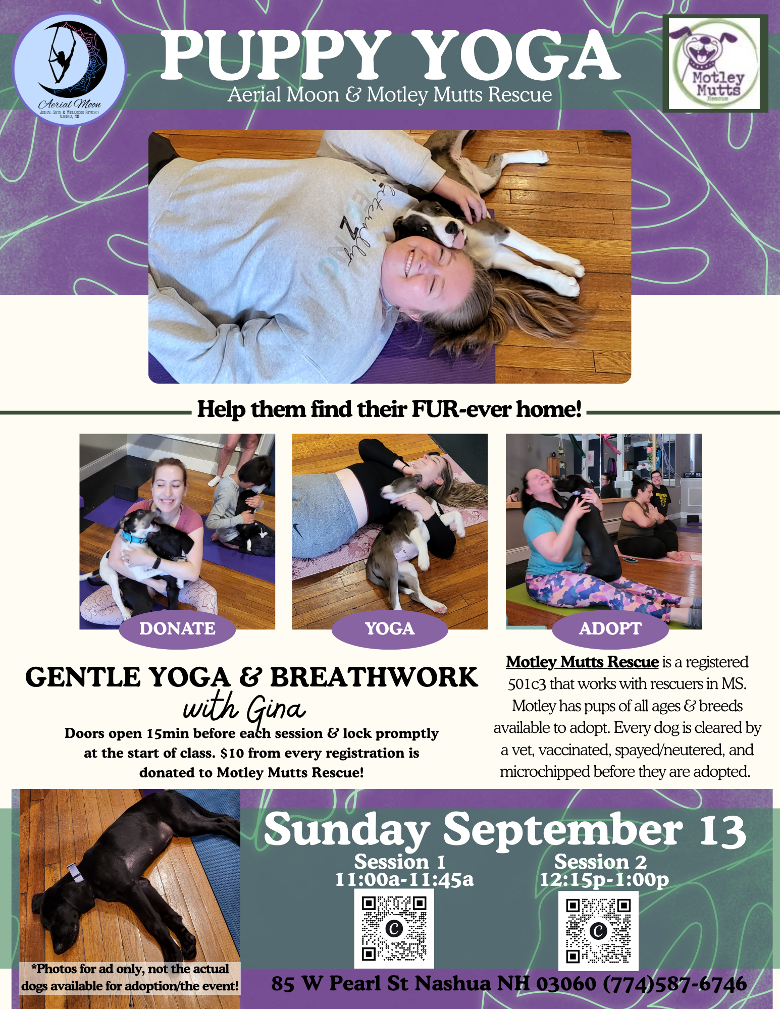 Puppy Yoga with Adoptable Puppies!