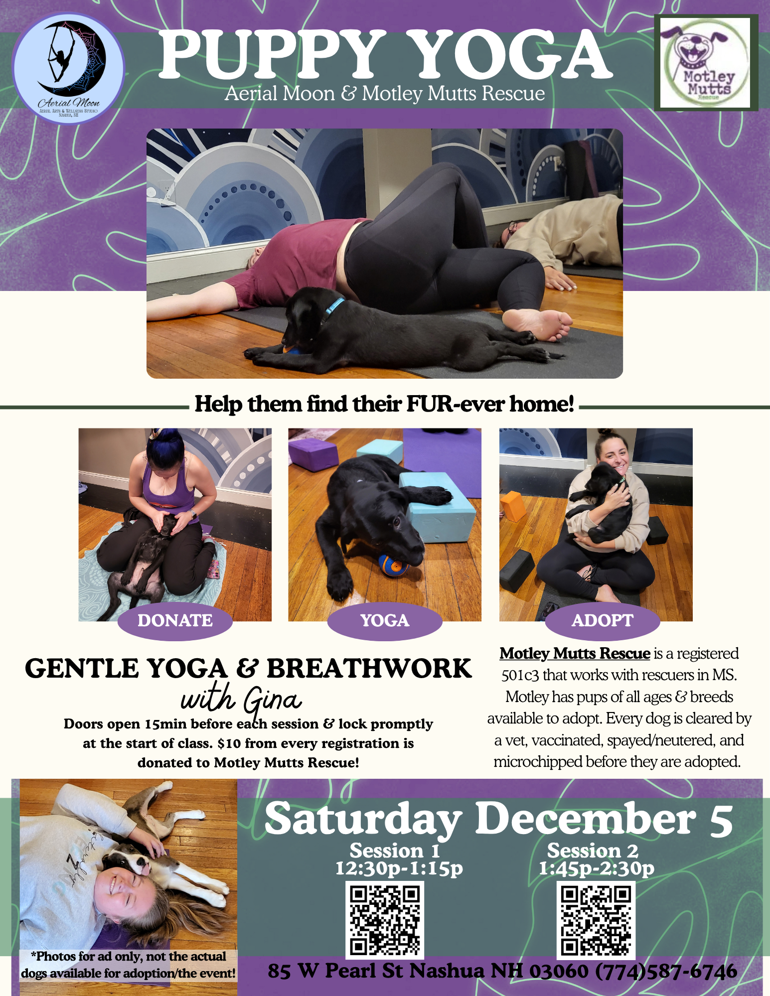 Puppy Yoga with Adoptable Puppies! (December)