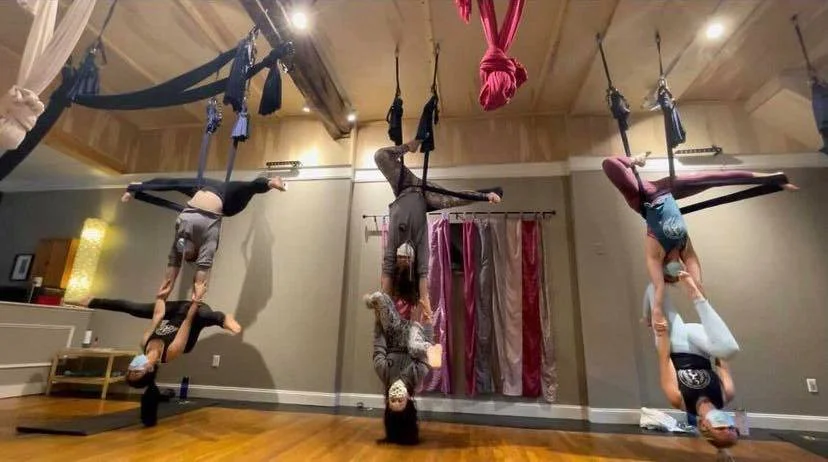 Group of people practicing aerial yoga or acrobatics indoors, hanging upside down from fabric swings attached to the ceiling.