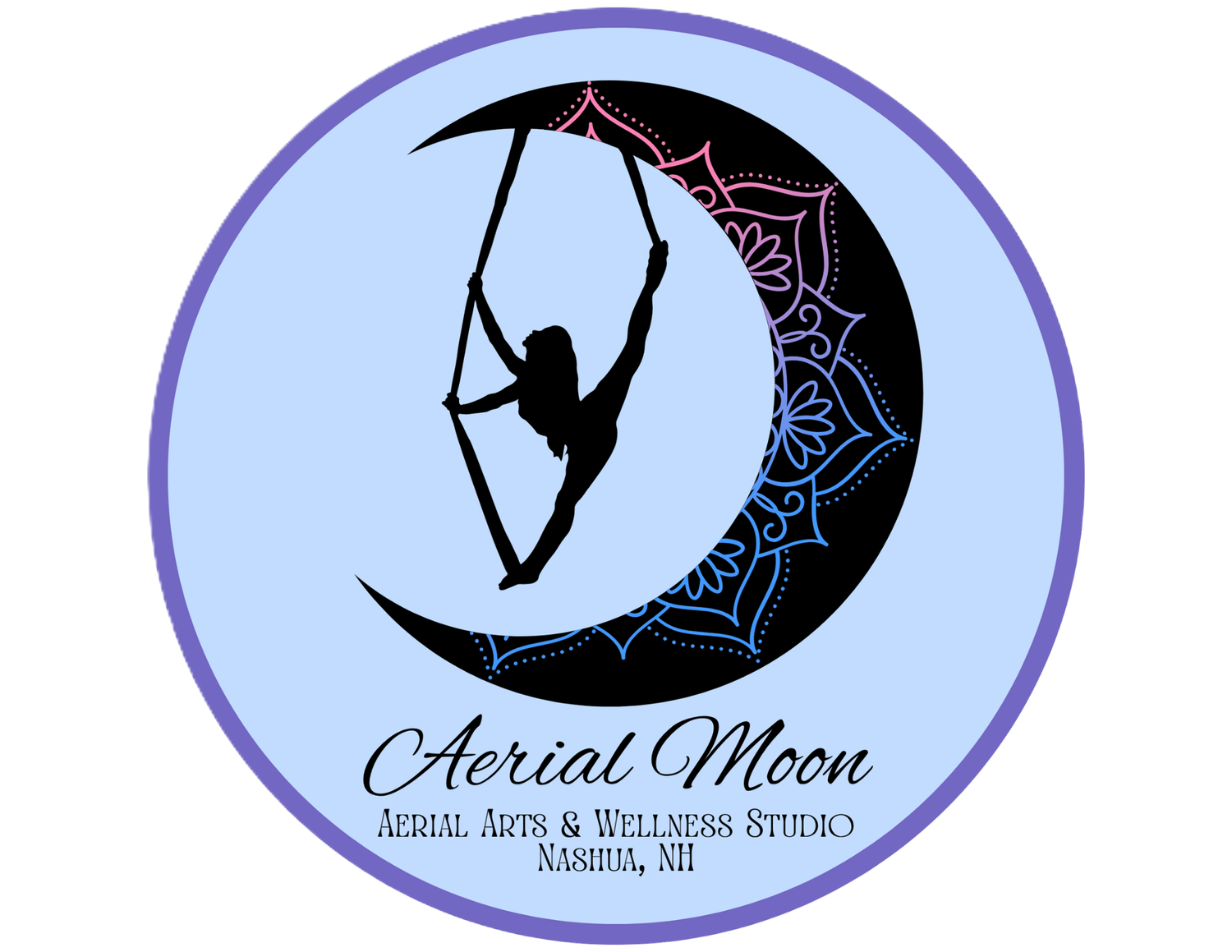 Aerial Moon Studio- Aerial Arts &amp; Wellness in Downtown Nashua