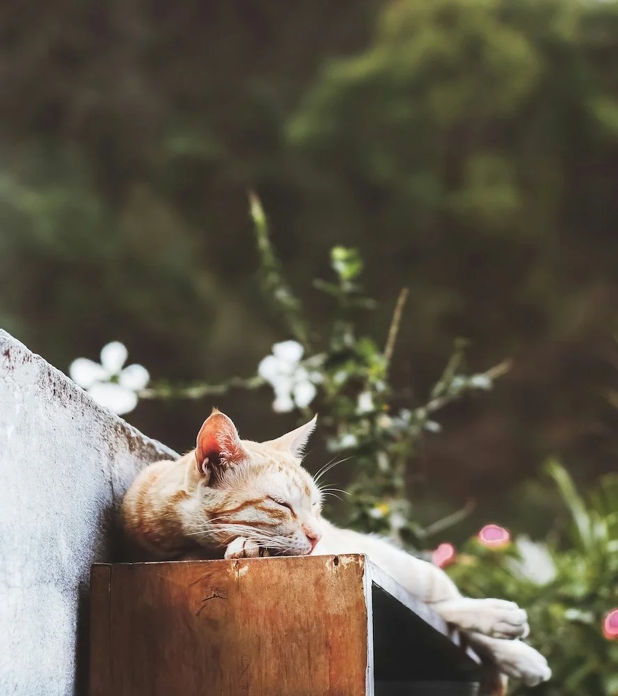 Rest