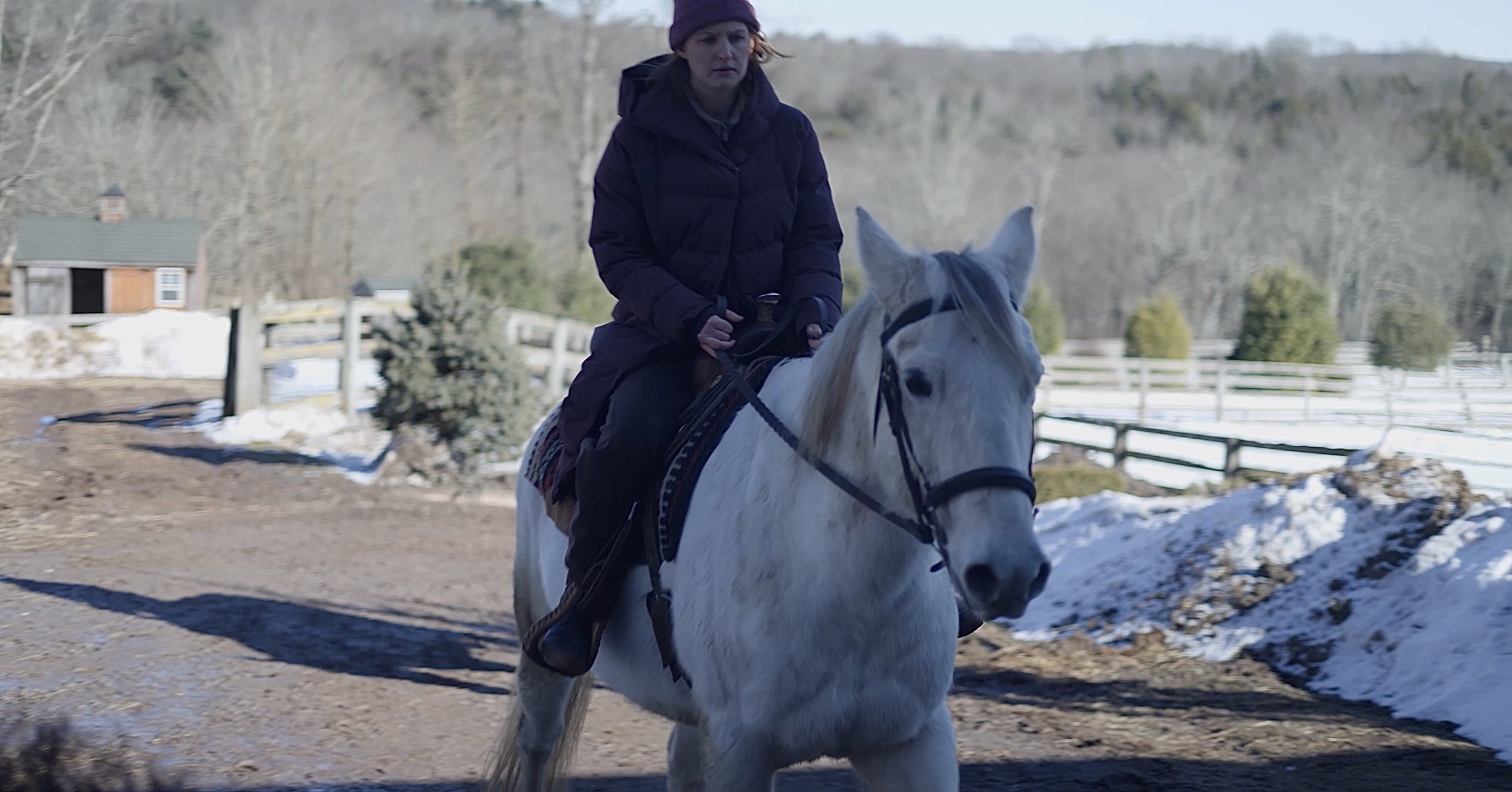 Screenshot 2026-03-28 at 11.17.30 AM.jpeg