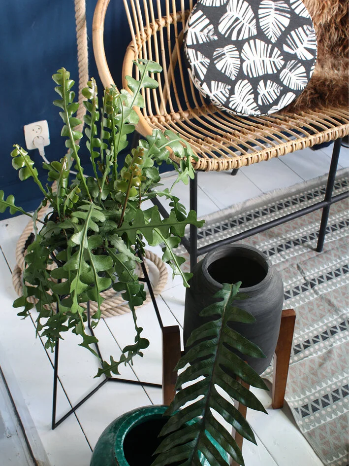 THE-NICE-STUFF-COLLECTOR-INTERIOR-BLOGGER-THEO-BERT-POT_SISSYBOY-HOMELAND_3.jpg