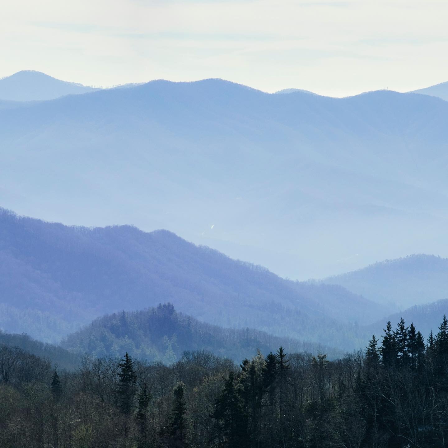 Had the fun experience of getting a glimpse of the wide vista view of the Smoky Mountains from the Newfound Gap. 
.
Had a fun adventure driving all the way the way through Indiana, Kentucky and Tennessee. Just stepping into North Carolina. 
.
What yo
