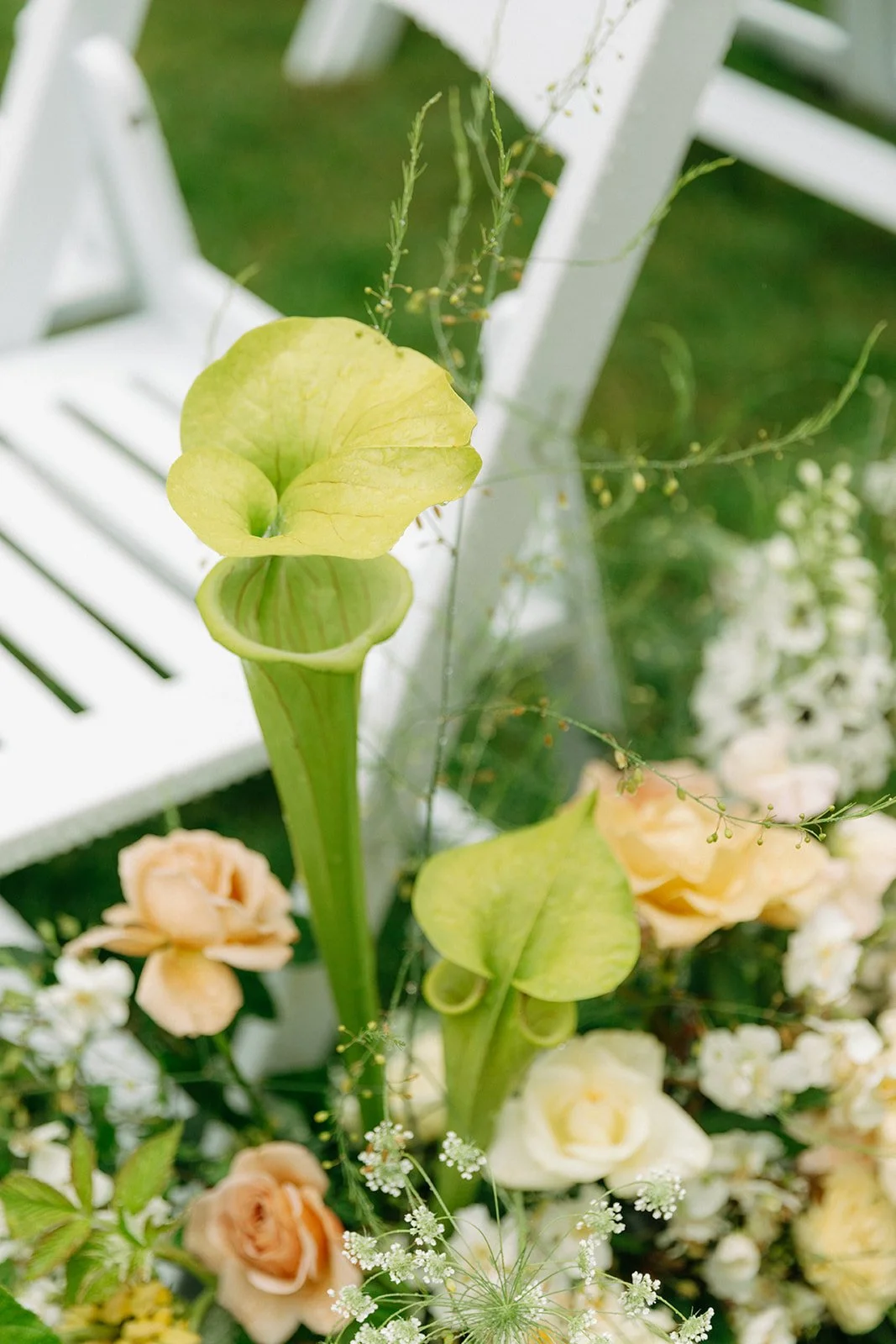 Chartreuse Wedding Florals Featuring Carnivorous Plants.jpg